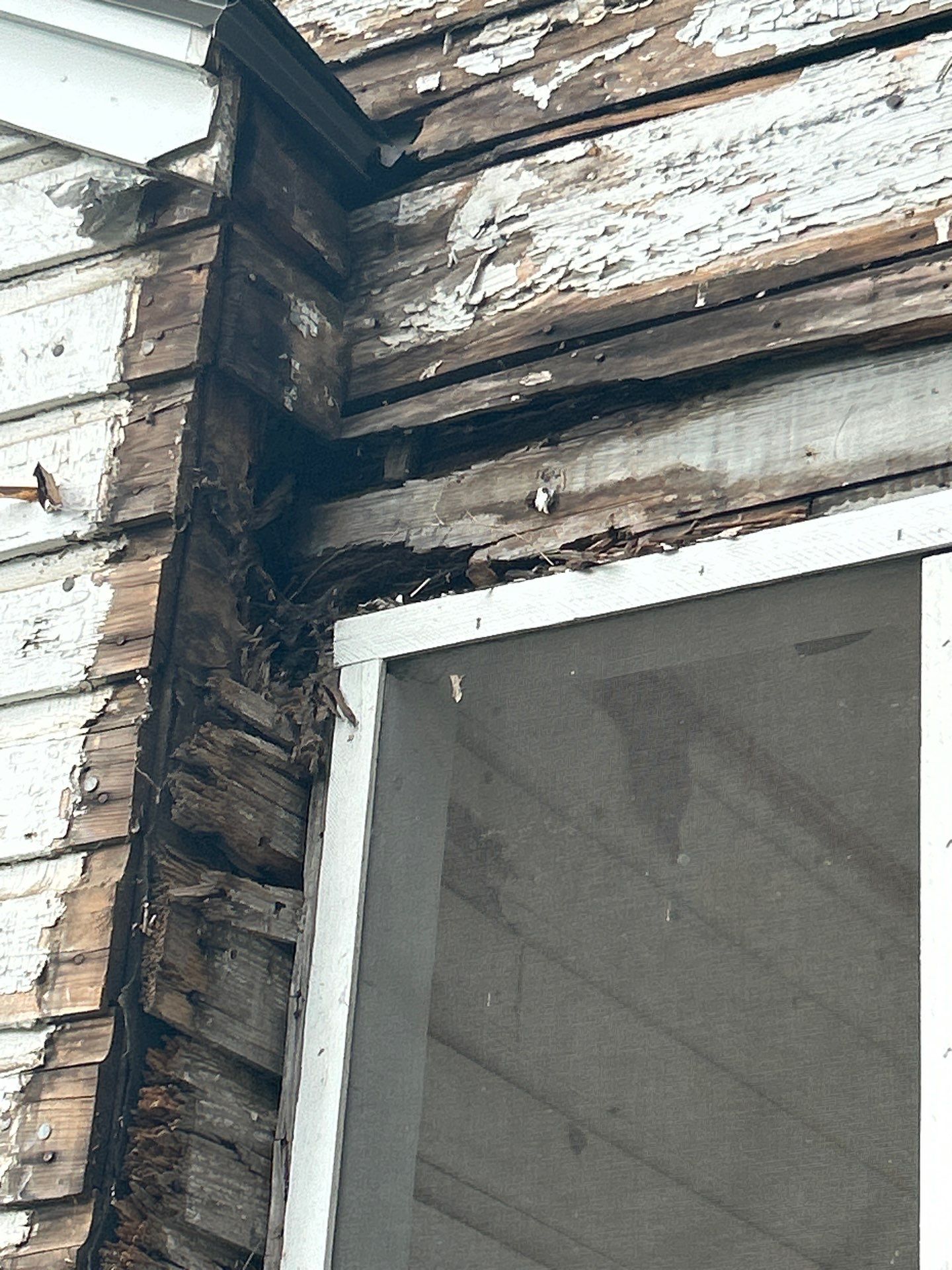 James Hardie Plank Replacement - Five Points by Freedom Exteriors 