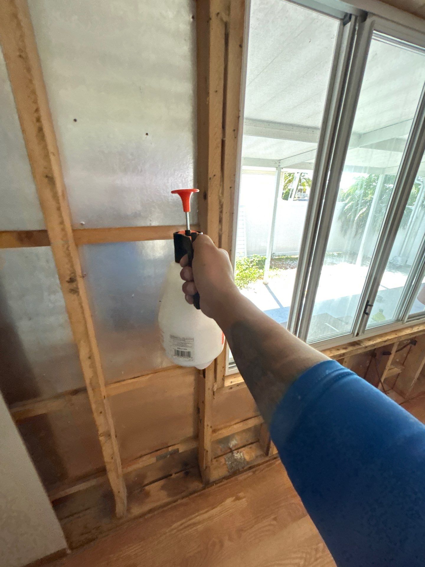 Mold Remediation Bradenton by Ampm Restoration Services 