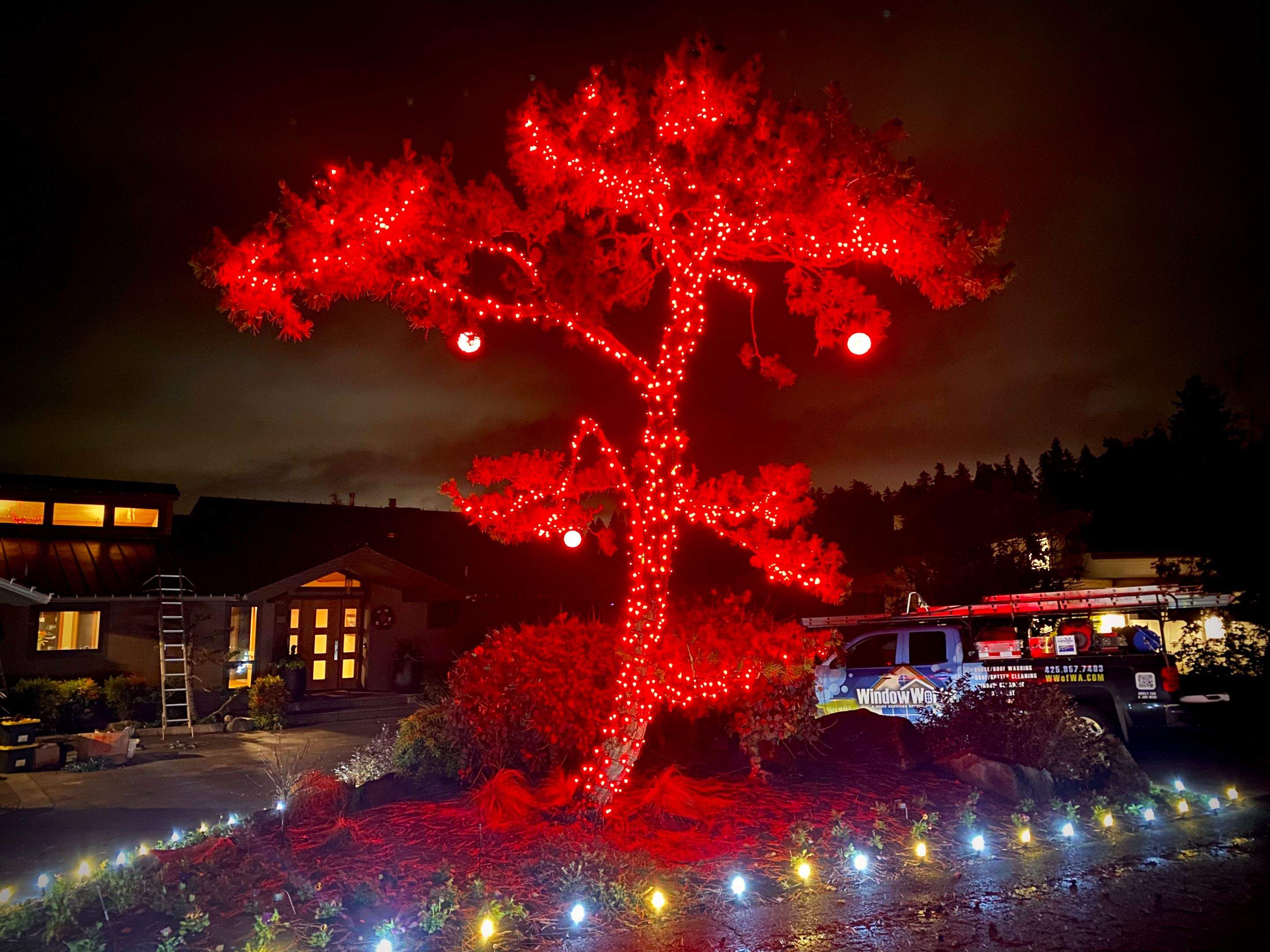 Holiday Light Gallery by WindowWorks