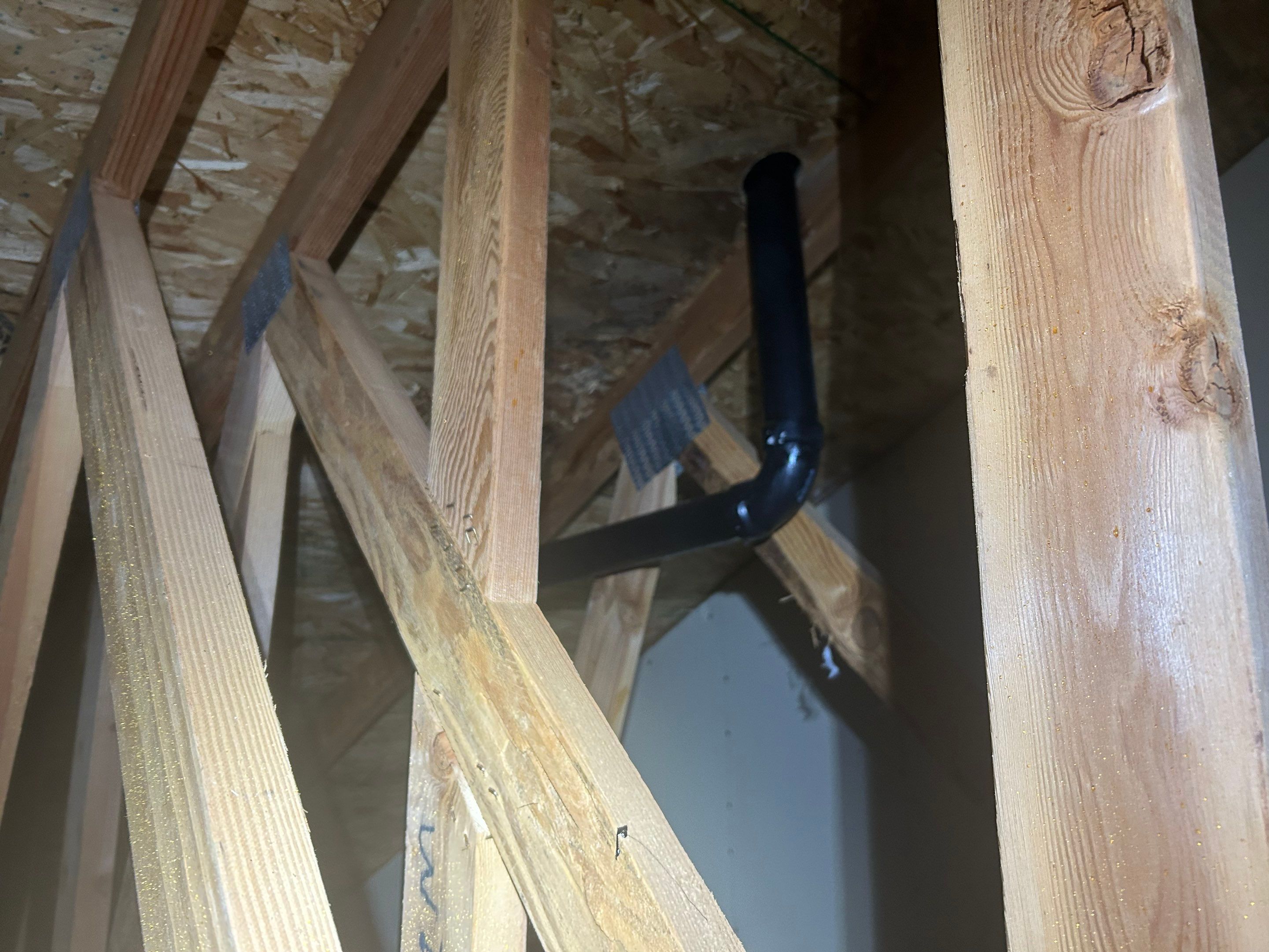 Emergency Leak Repair in Portland by Prodigy Roof Solutions