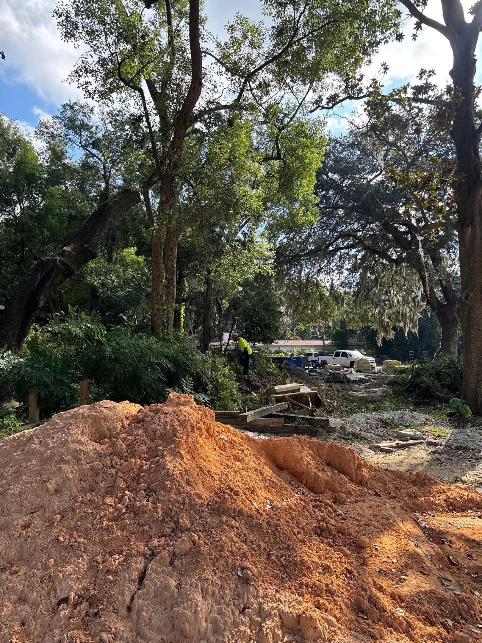 Tree Removal | Episcopal Softball Field by ProGreen Services