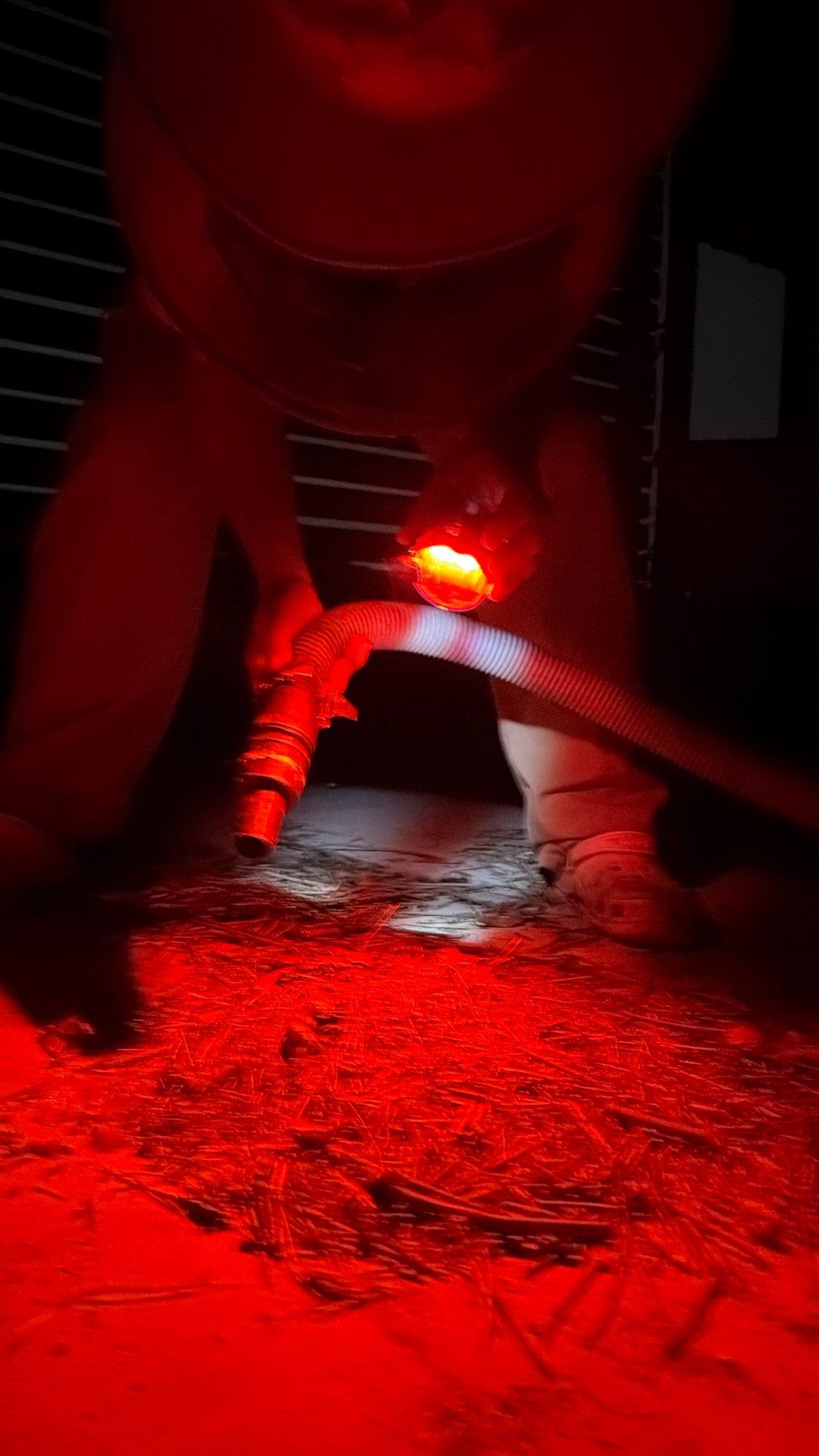 Bumble Bees in a Garage by Rockwall Honey Bee Company