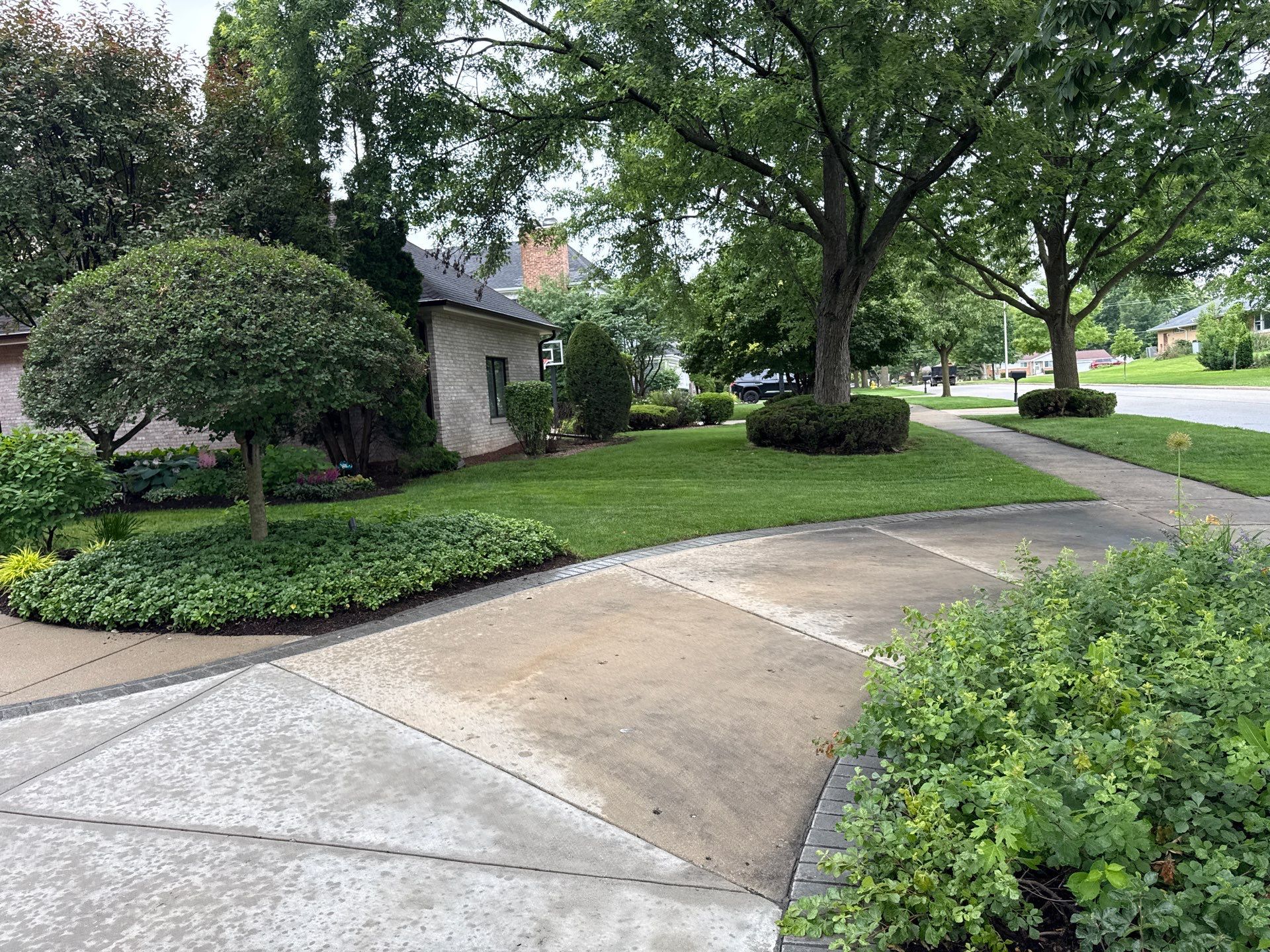 Laura C. - Mount Prospect, IL by A&N 