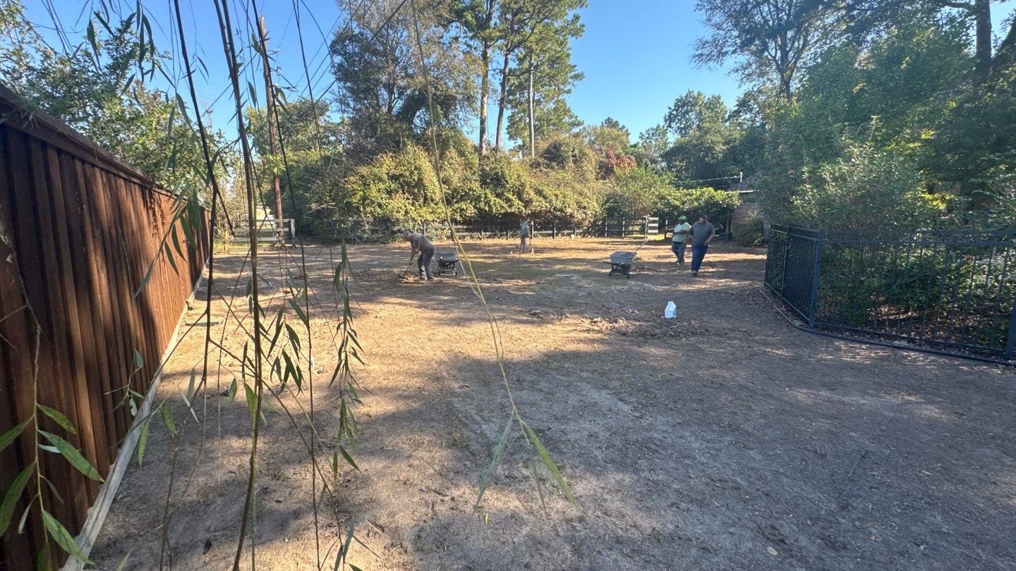 Mr. Jeff — Backyard Drainage & Grading Improvement by Texas Urban Elements