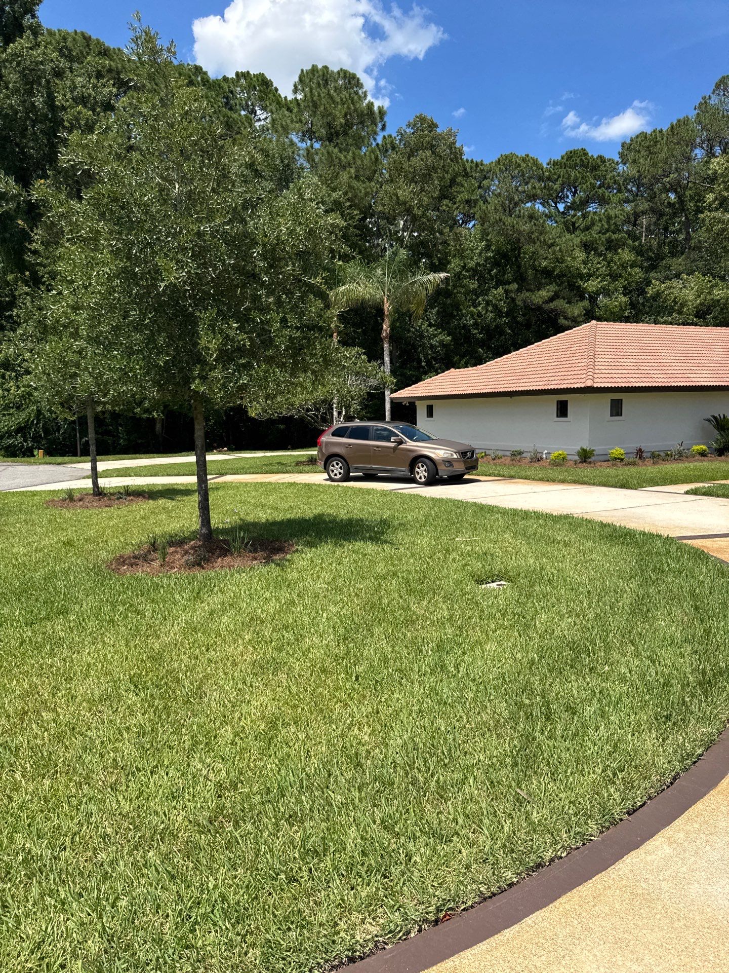 Deerwood Resident | Bed Design & Upgrade by ProGreen Services