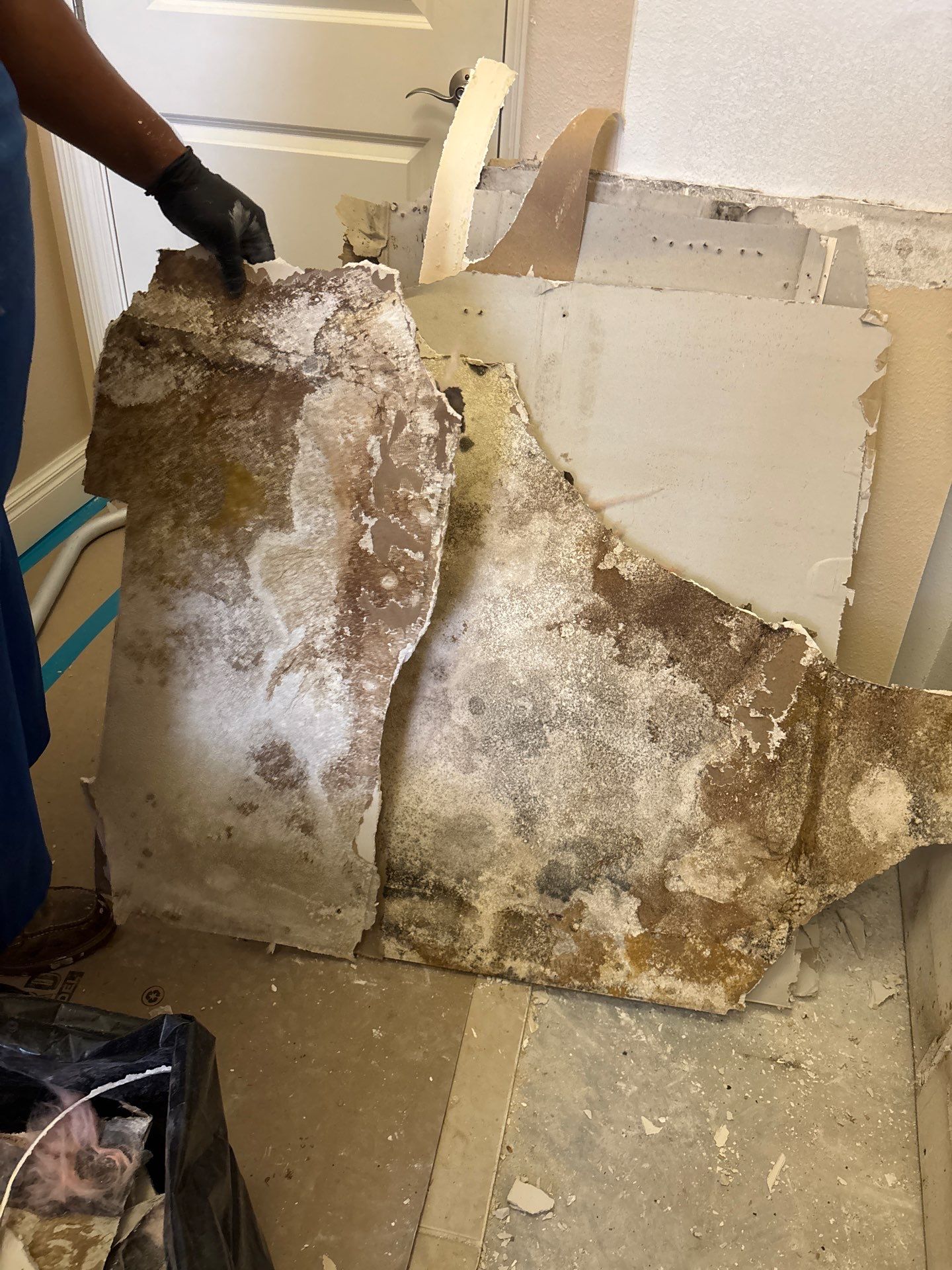 Mold Damage Inspection & Removal In Parrish, FL by Ampm Restoration Services