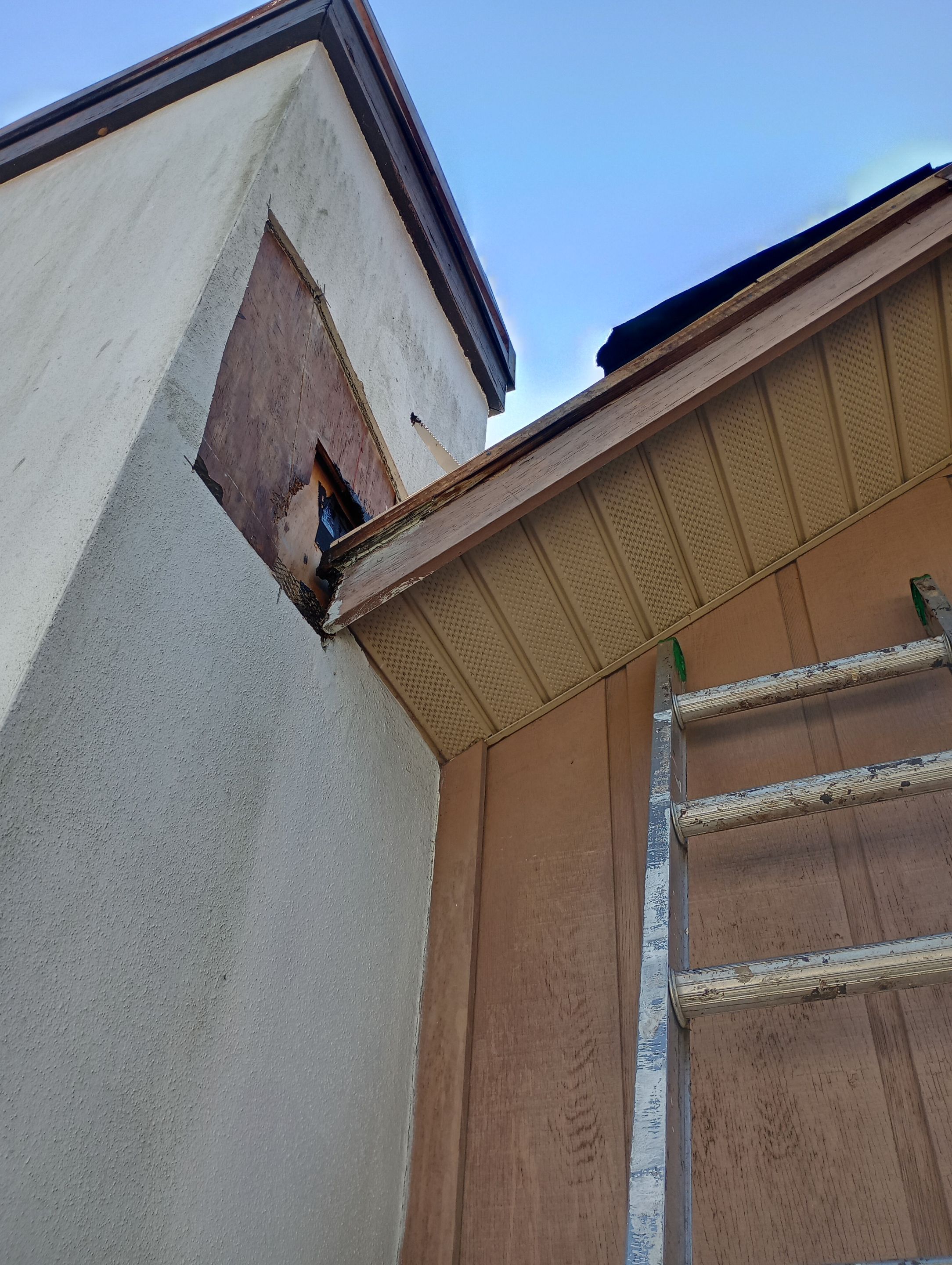 Roof Replacement in Tampa, FL by Shingle Masters Roofing