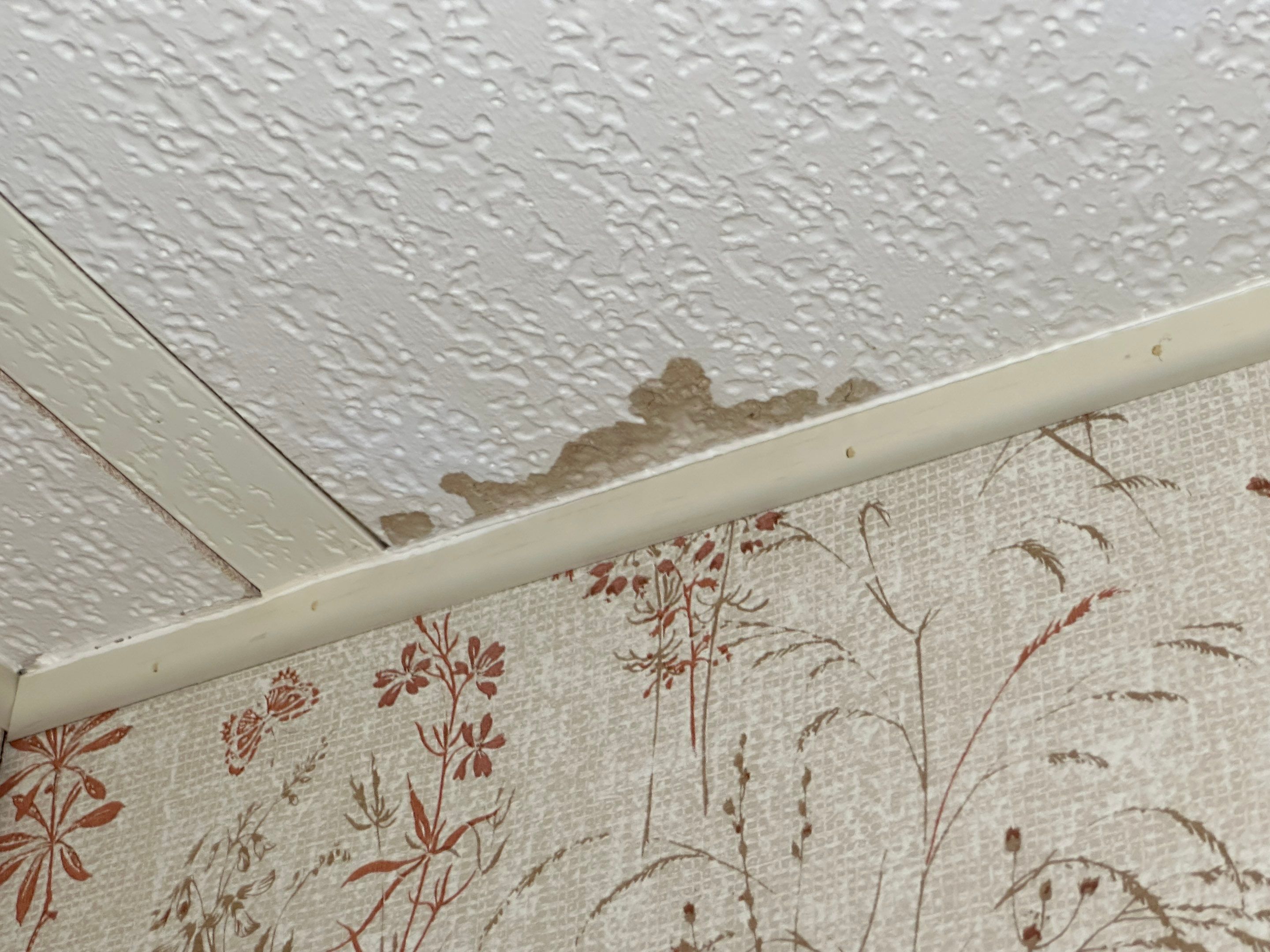 Water Damage Claim in Winter Haven by FLAPA & KeyStone