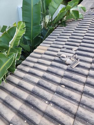 Tile Roof Repair in Lake Worth – Clear Communication & Quality Workmanship