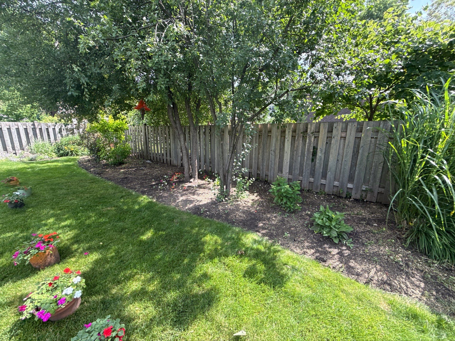 Cheris B. - Mount Prospect, IL by A&N 