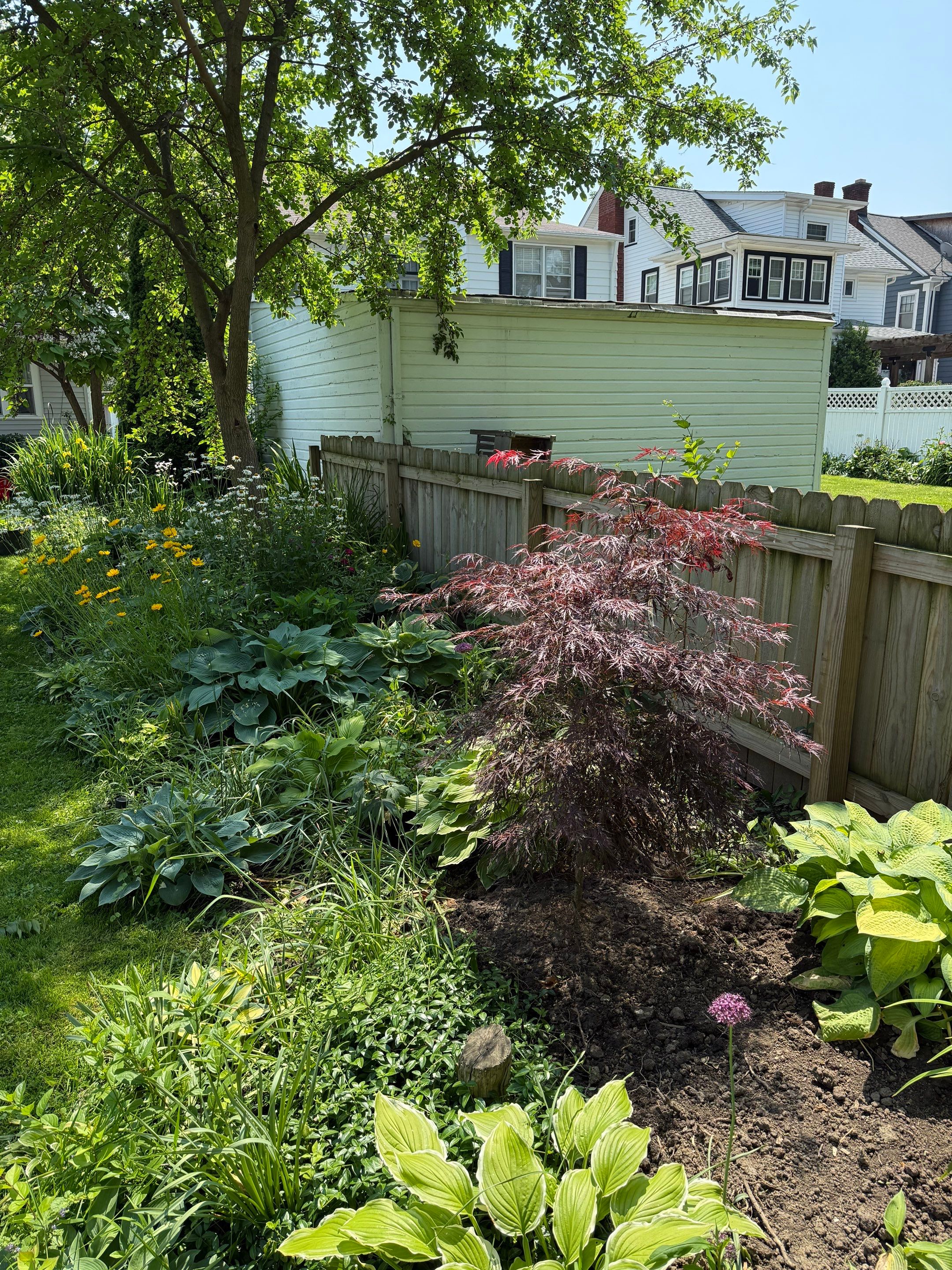 Berea Sandstone Project by Elm Rose Gardens