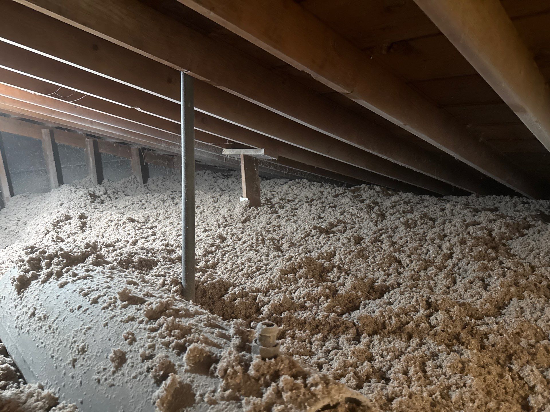 Blown-In Attic Insulation and Rodent Remediation in Canonsburg by Home Environment Solutions