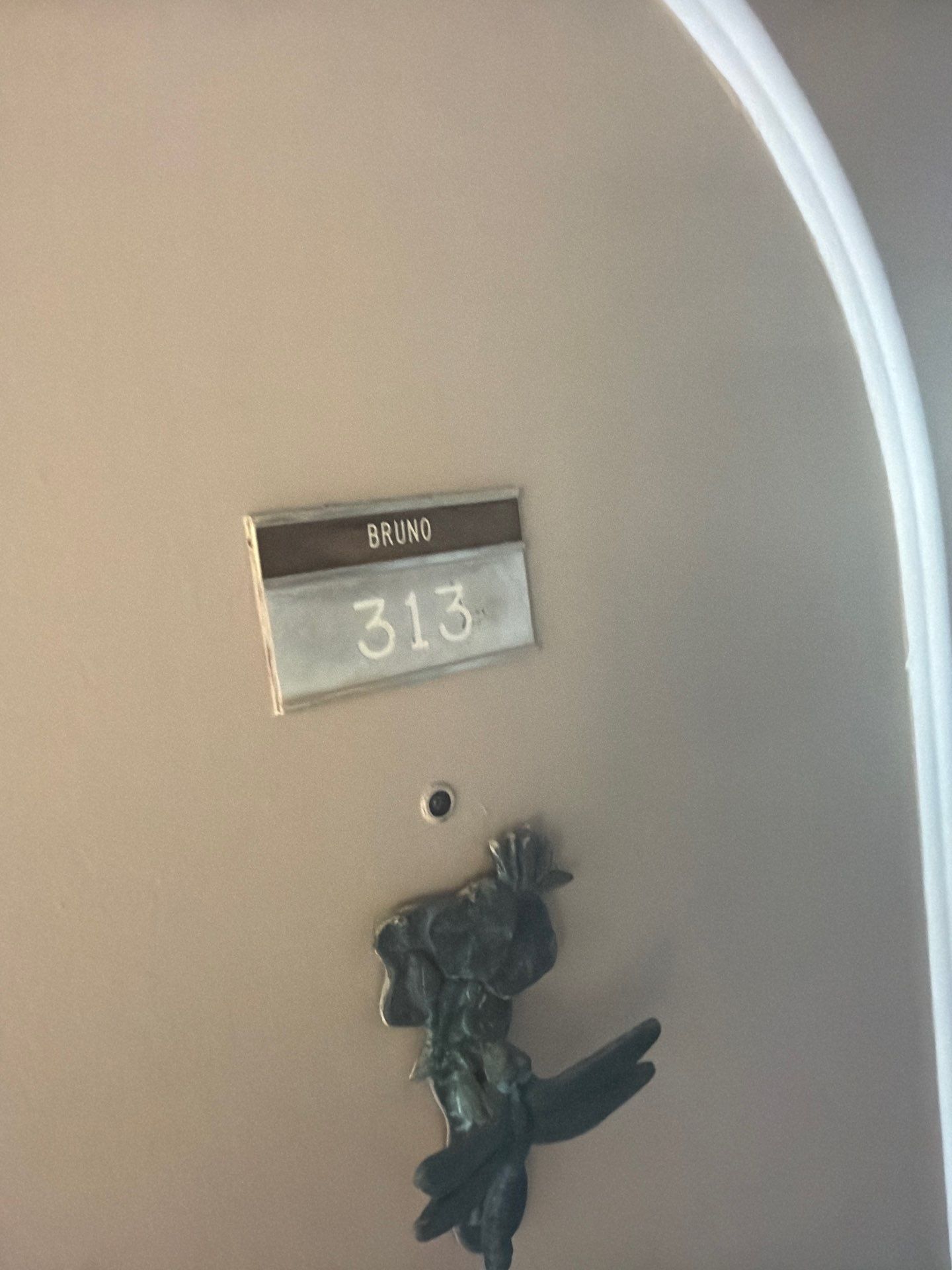 Residential Mold Remediation and Interior Moisture Damage Assessment in Palm Beach by SuperClean