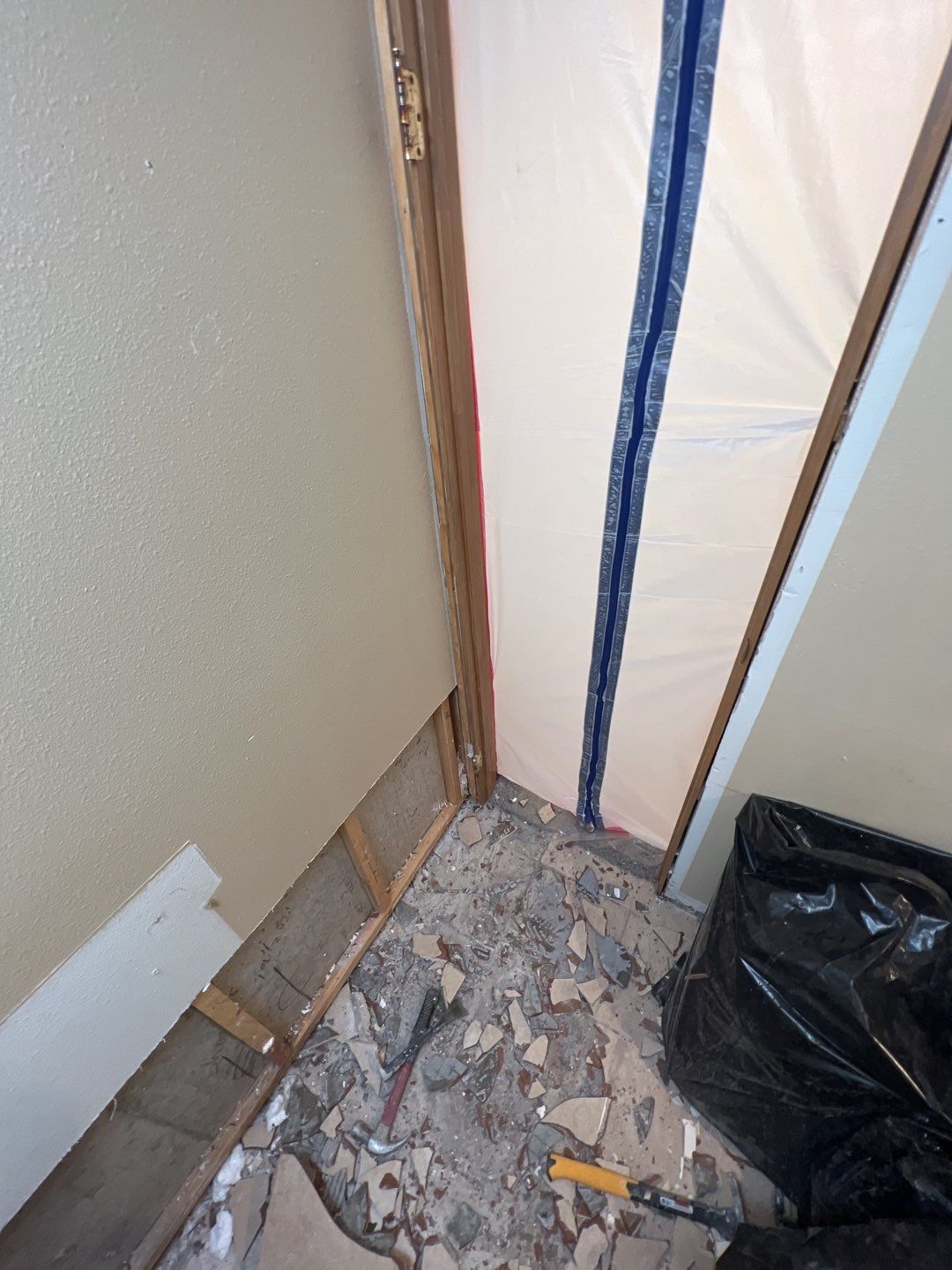 Mold Remediation by Accountable Home Services