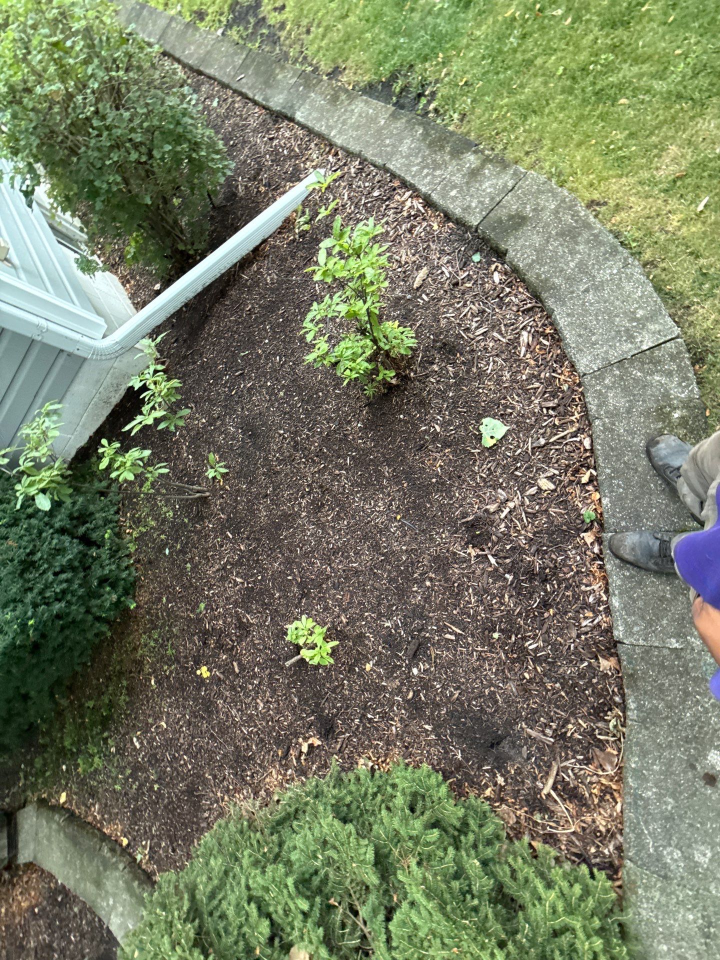 Karen M. - Palatine, IL by A&N