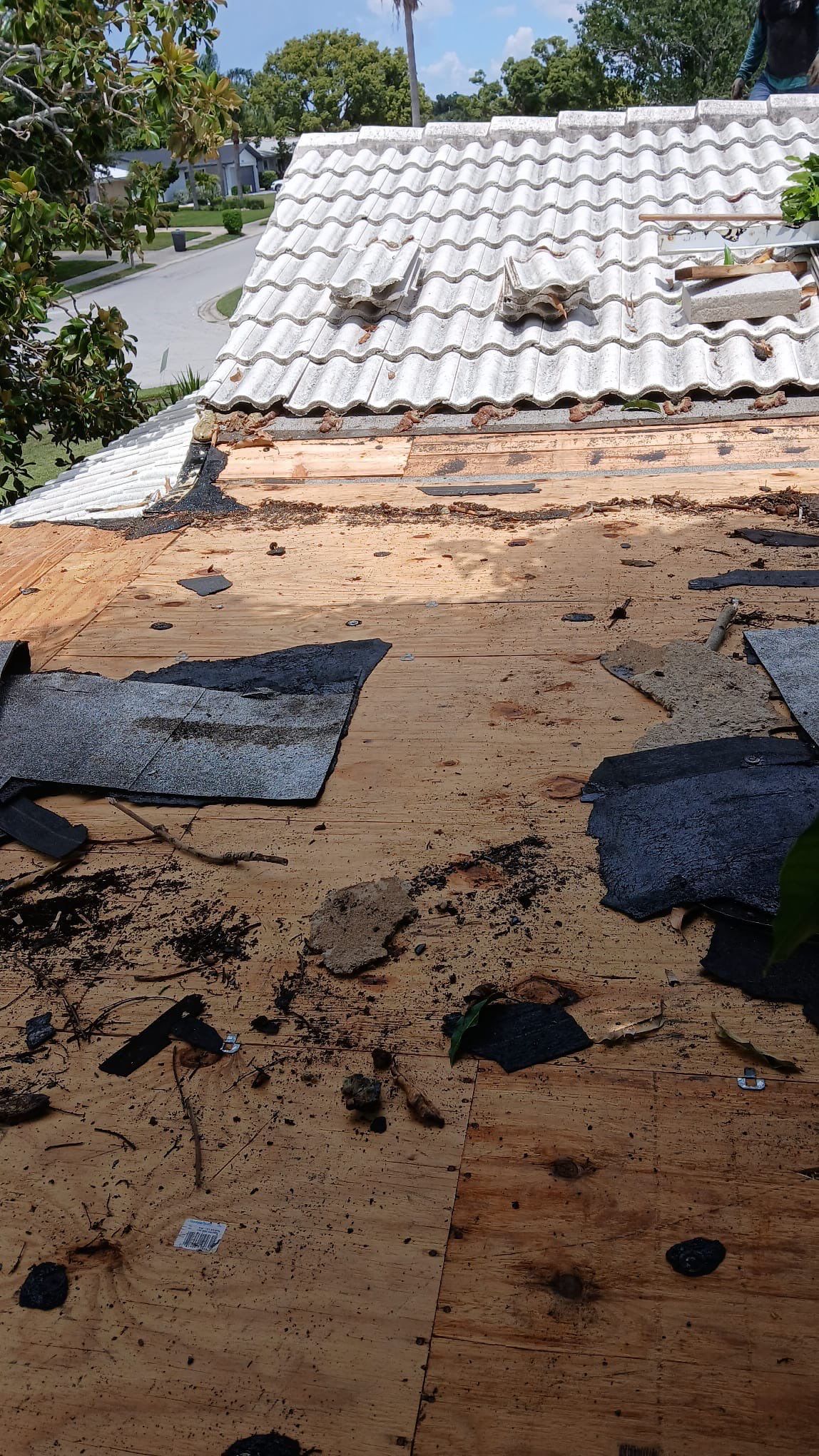 Project in Largo 33774 by Mitchell Roofing Company LLC 