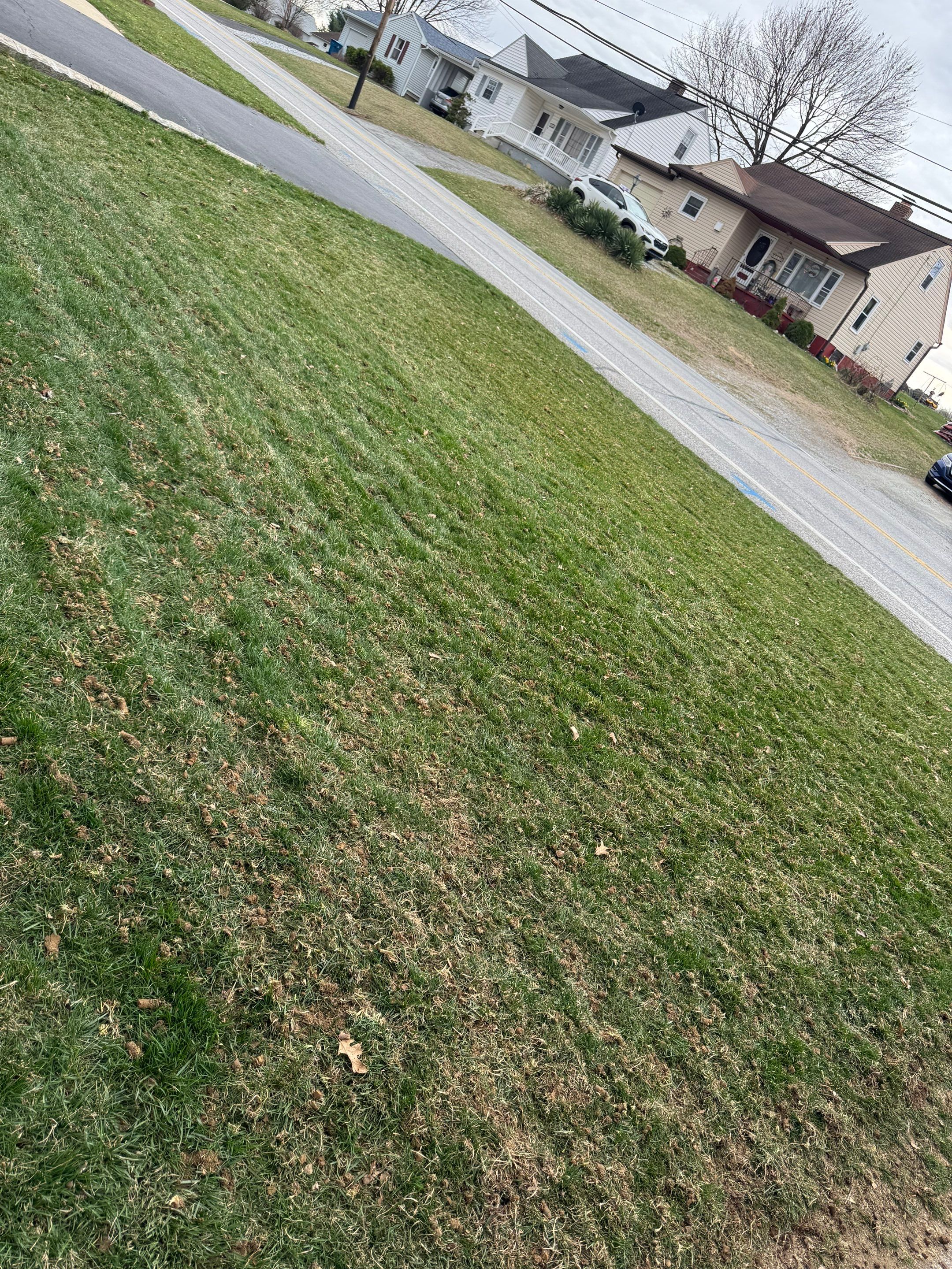 Red Lion Pa by Go Green CLC