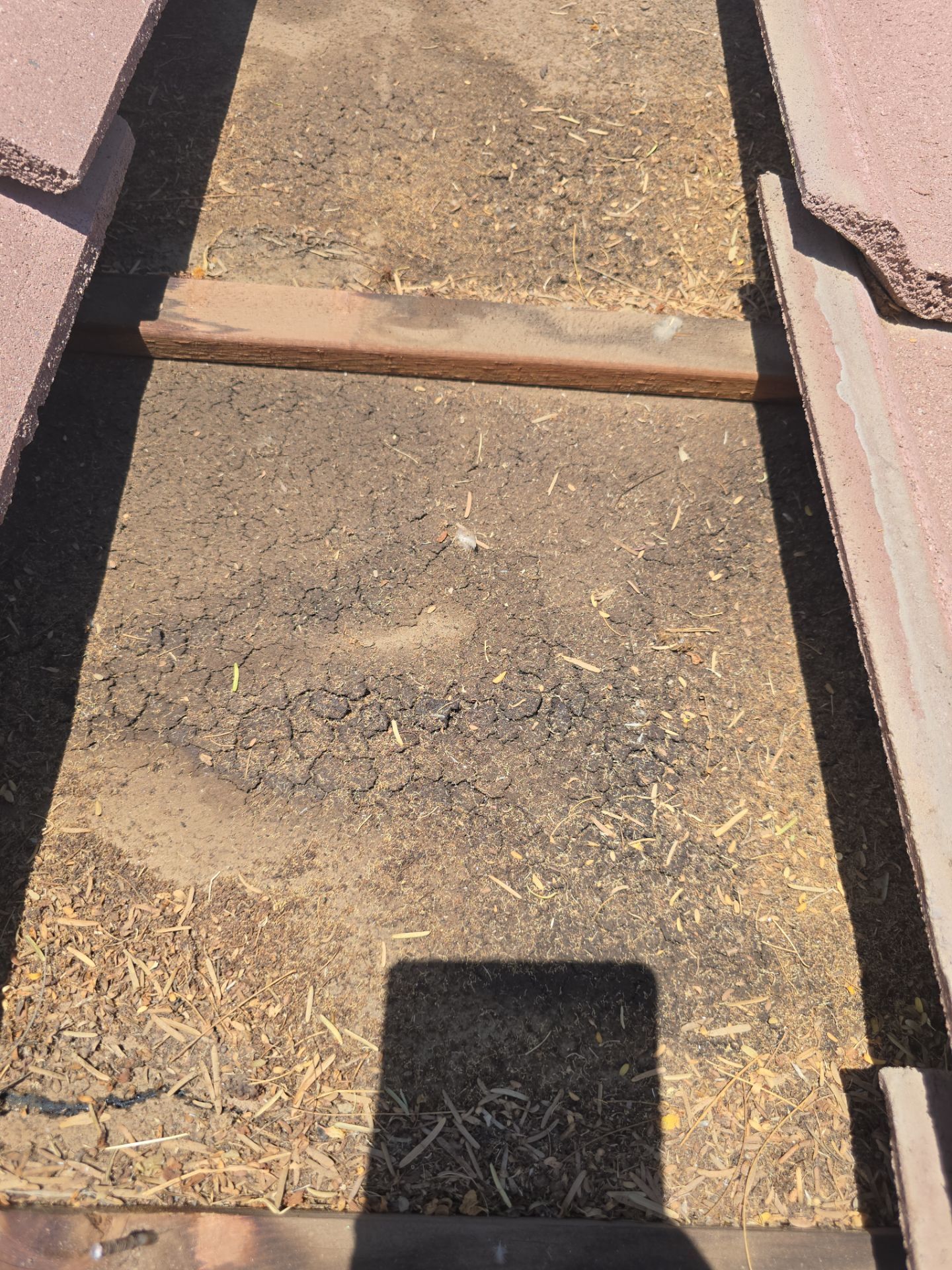 Project in Phoenix, AZ by Showtime Roofing & Coatings LLC