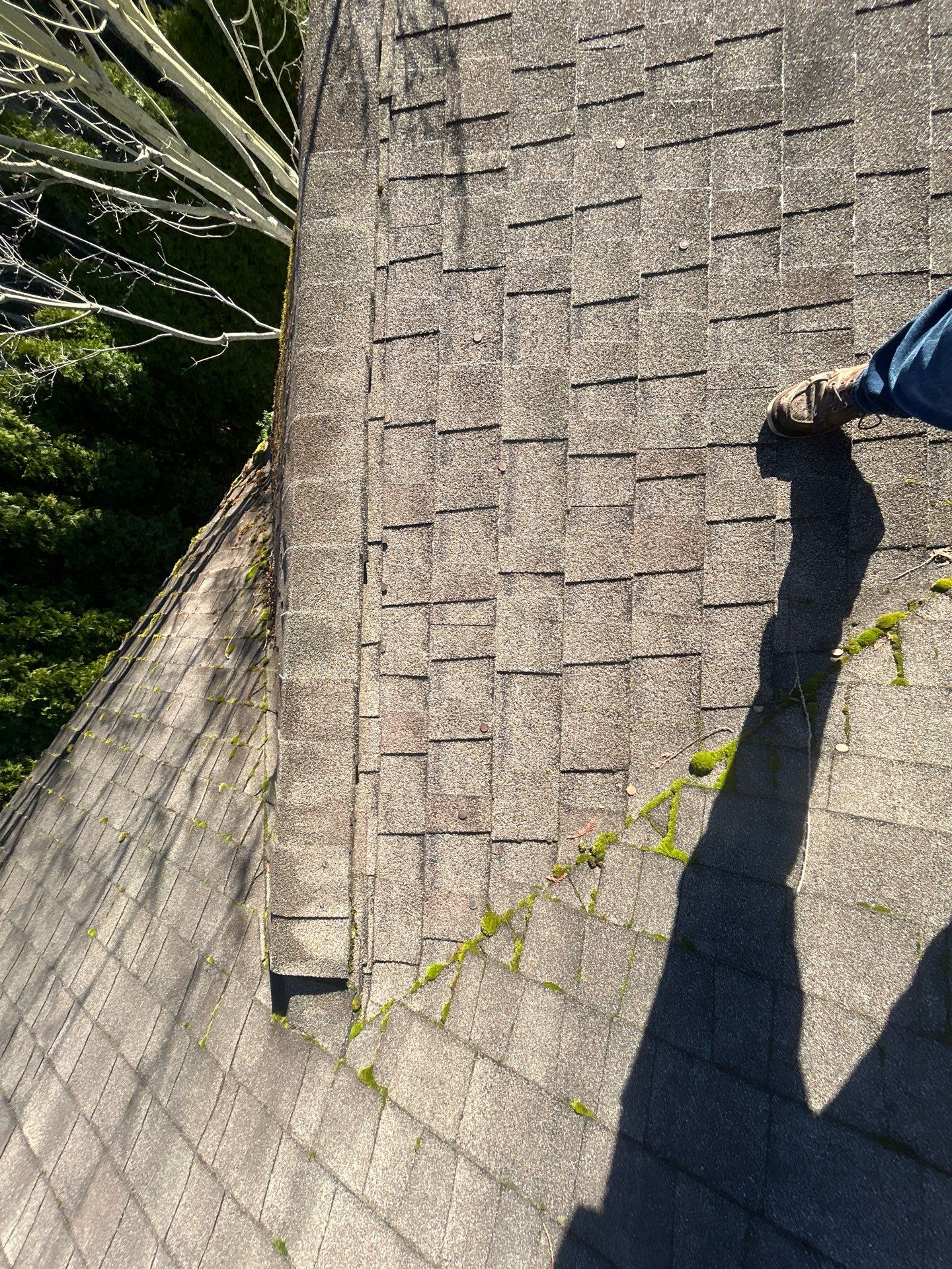 Project in Mount Vernon by Connolly Construction Company