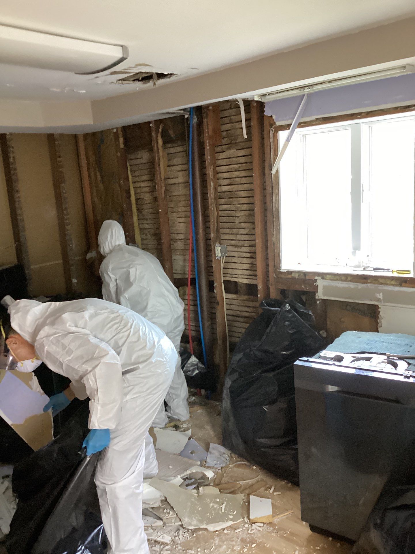 Comprehensive Mold Remediation and Kitchen Restoration in East Islip by Newhouse Restoration