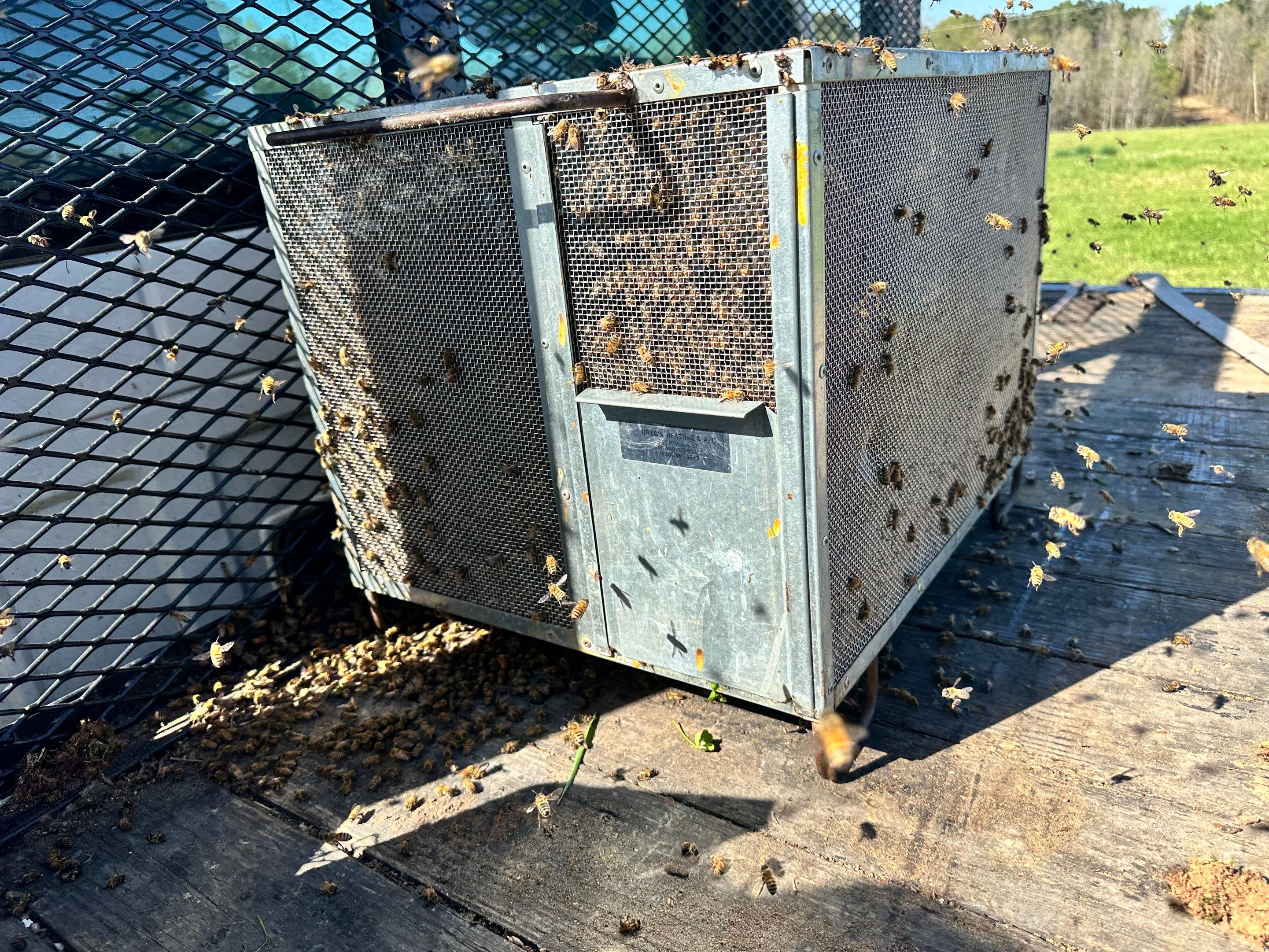 Peanut Farm Apiary by Rockwall Honey Bee Company