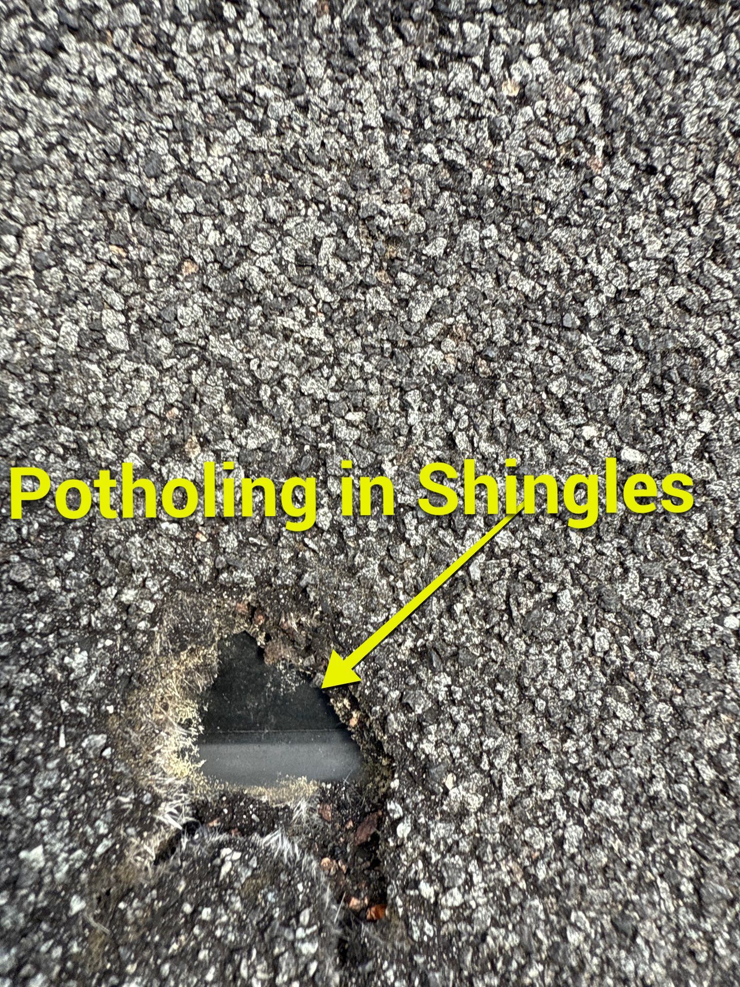 Project in Prince George by Roof Maxx of Midlothian