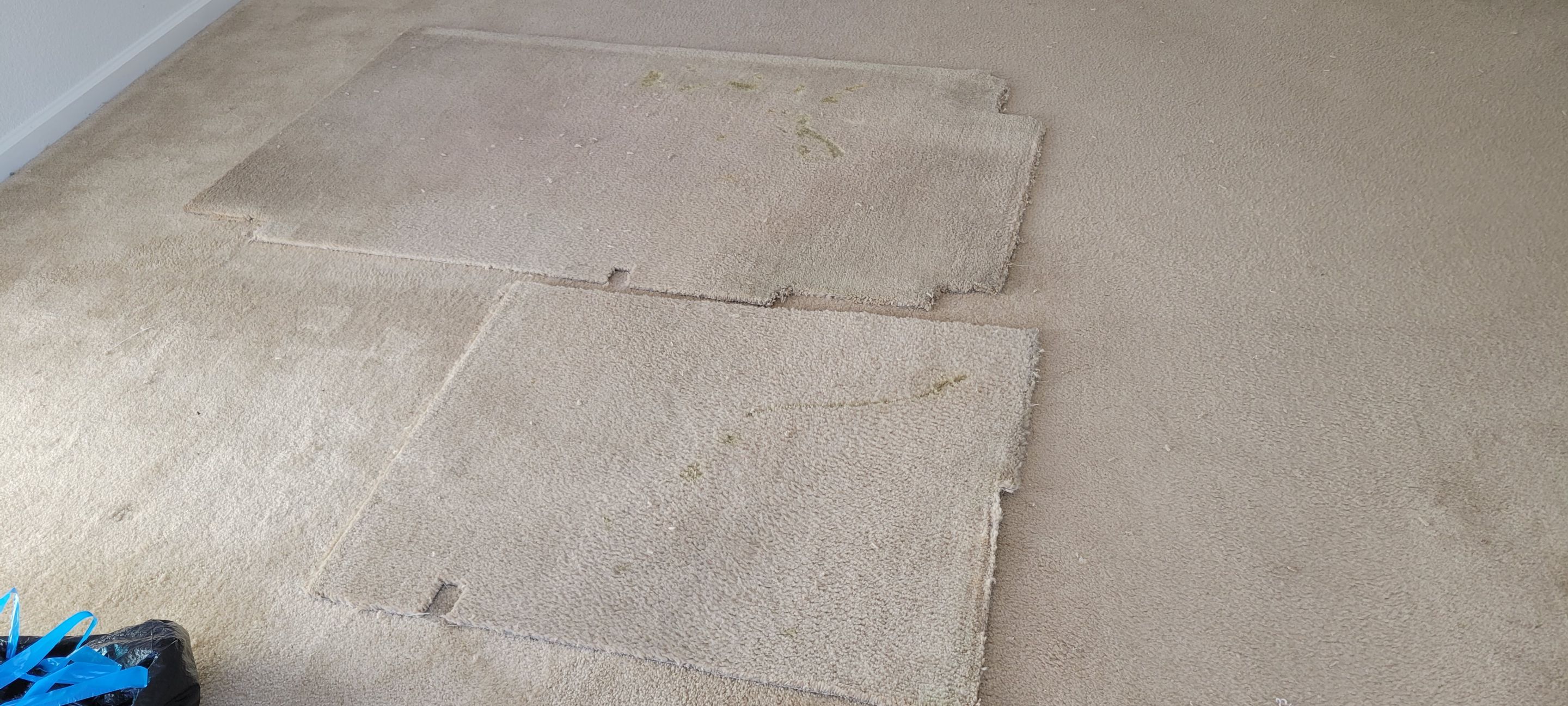 Sectioning Out a Failed Dye Attempt by Ardent Carpet Restore LLC
