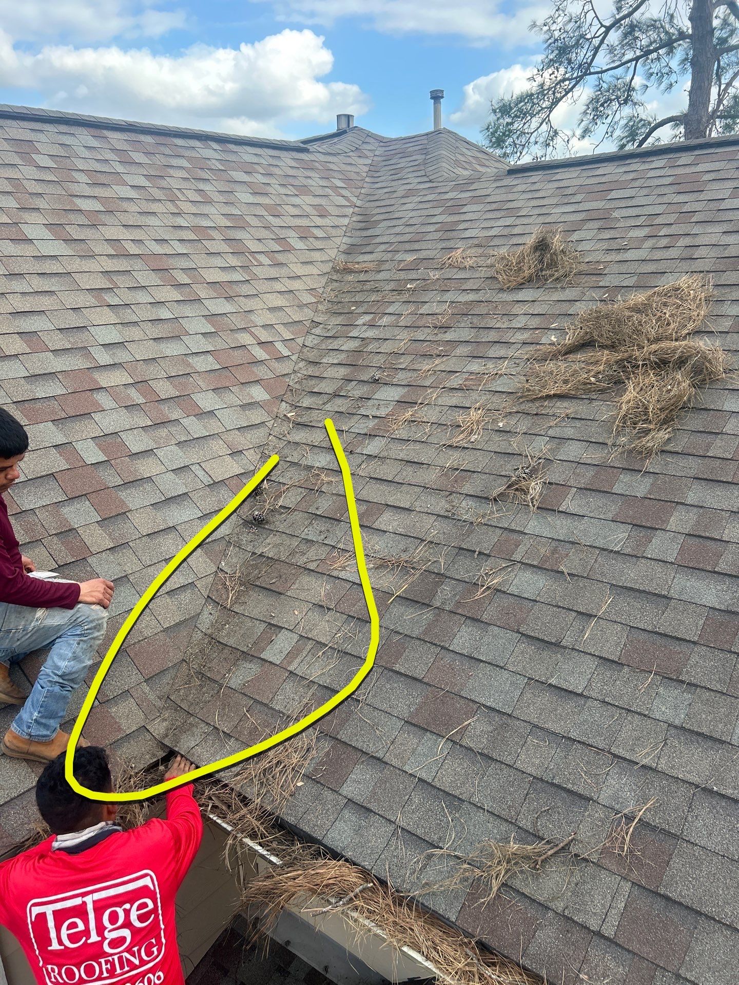 Roof Repair Spring by Roof Repair Company