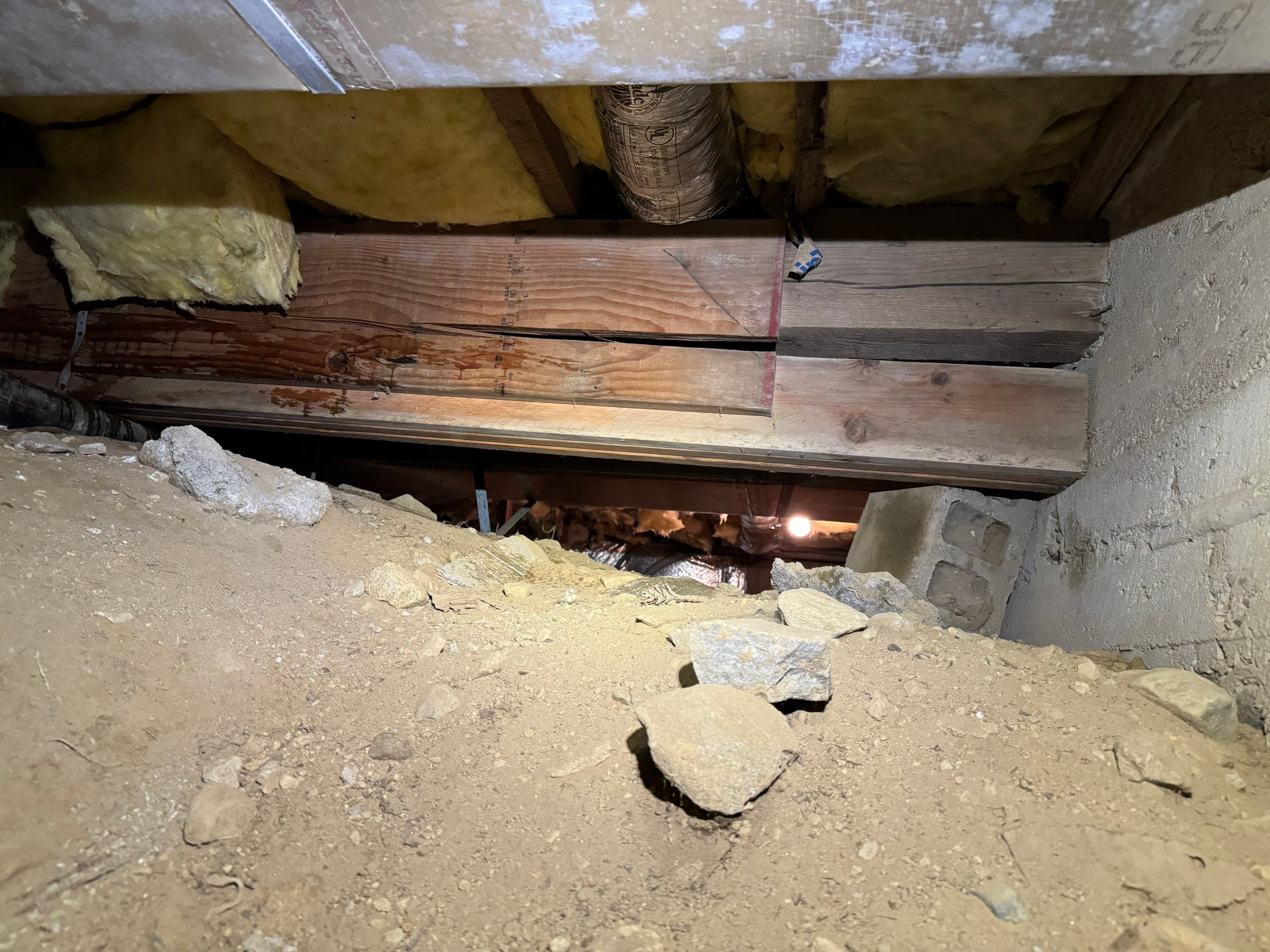 Mold Remediation (Basement) using Home Guarantee by Home Guarantee, LLC