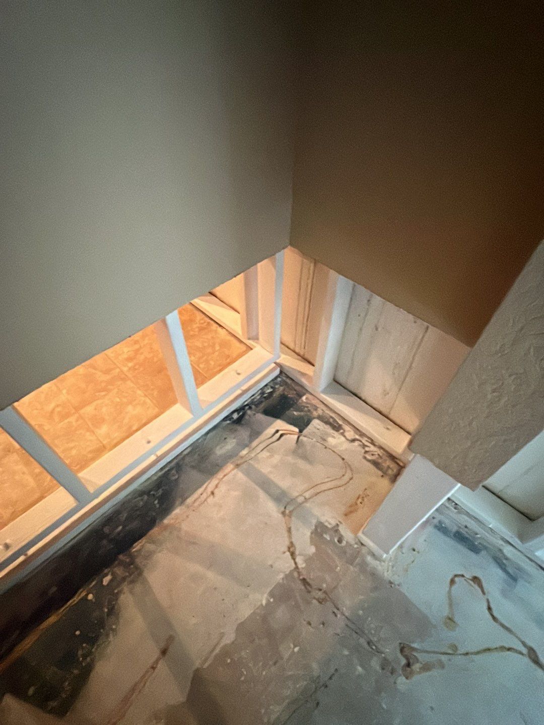 Mold Damage by Accountable Home Services