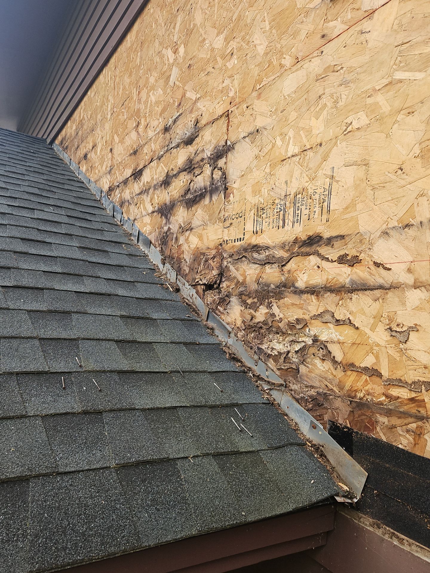 Siding | Methuen by Mighty Dog Roofing of Greater Middlesex County