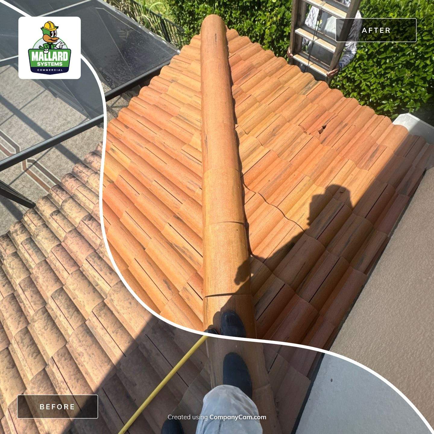 Barrel Tile Roof cleaning by Mallard Systems