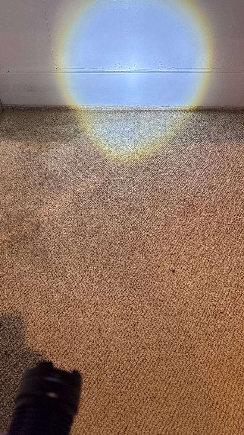 Mold Project in Englewood by Accountable Home Services