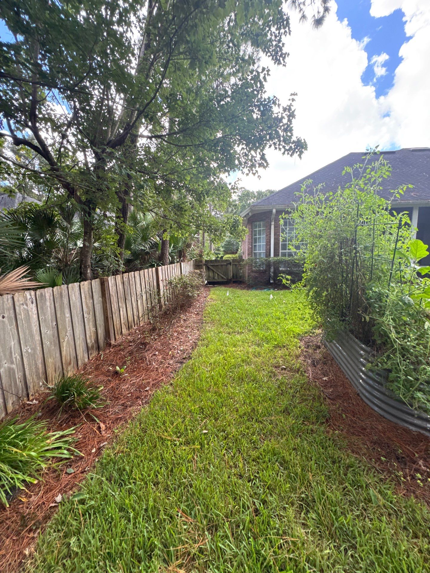 Residential | Shrub Trimming by ProGreen Services