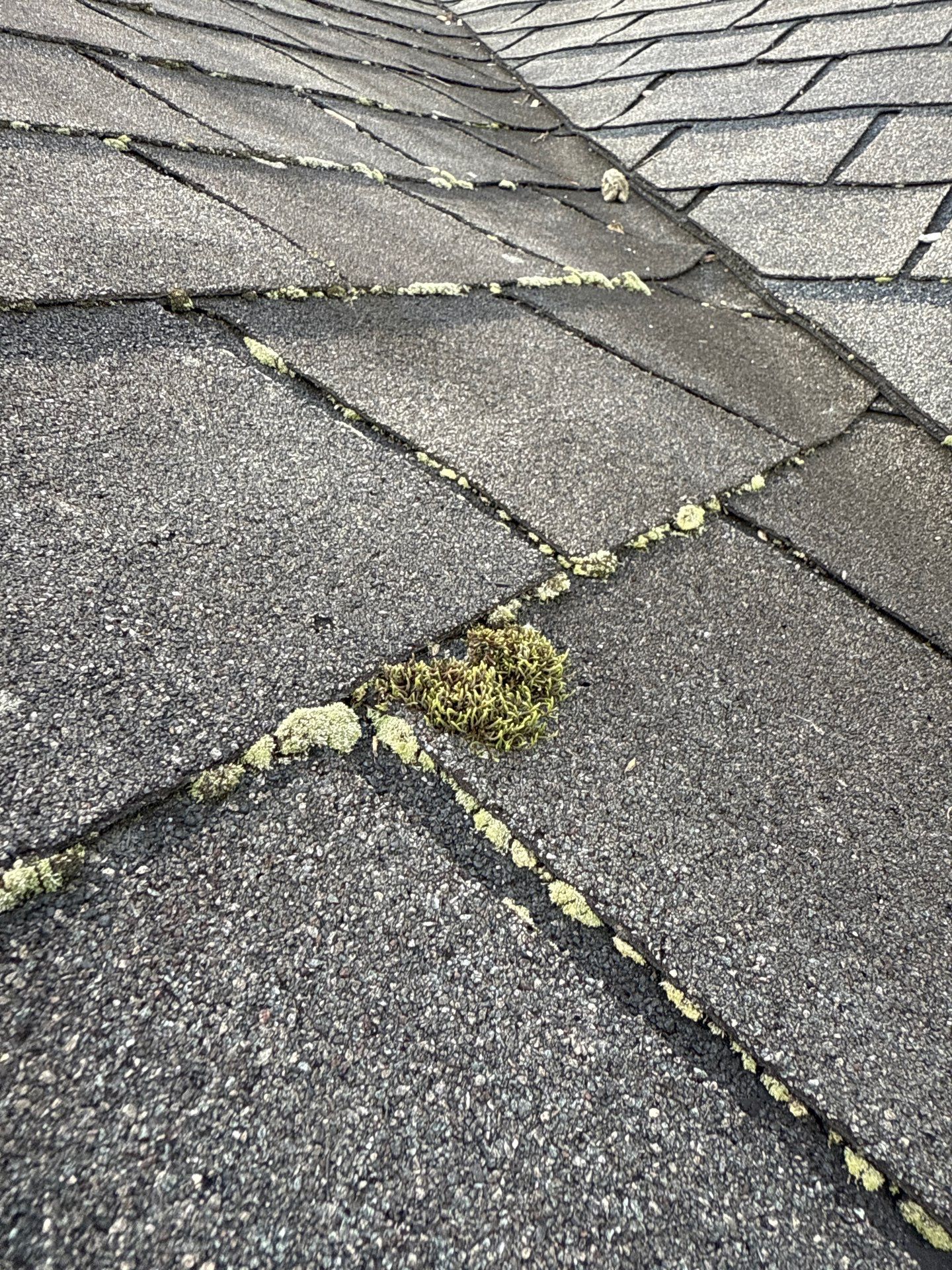 Project in Chester by Roof Maxx of Midlothian