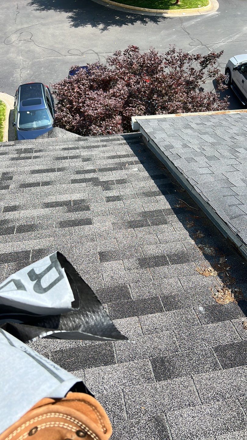 Reston: CertainTeed Landmark Pro Architectural Shingles in Max Def Moire Black by RM Banning, Inc.