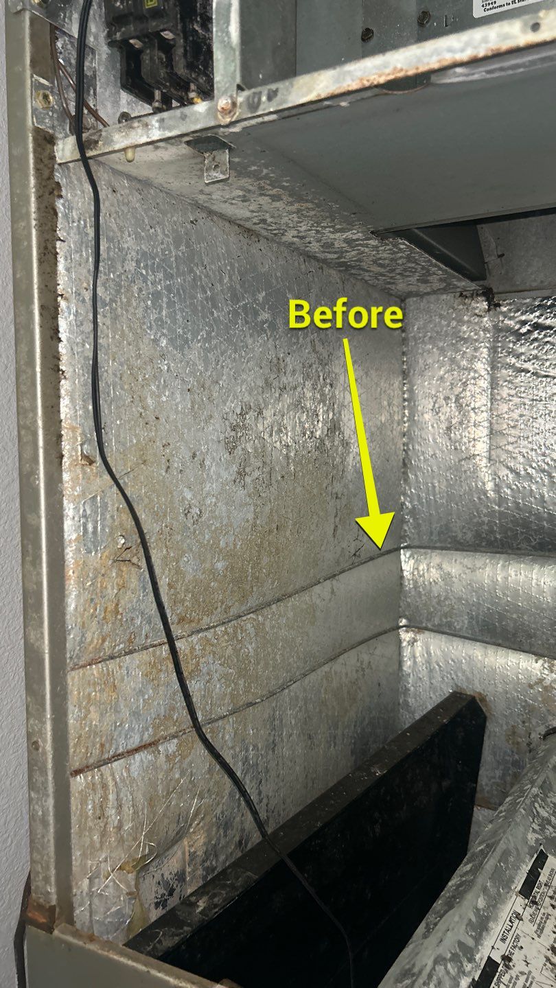 Air Duct Cleaning in Clermont by Hygienic Air, Inc