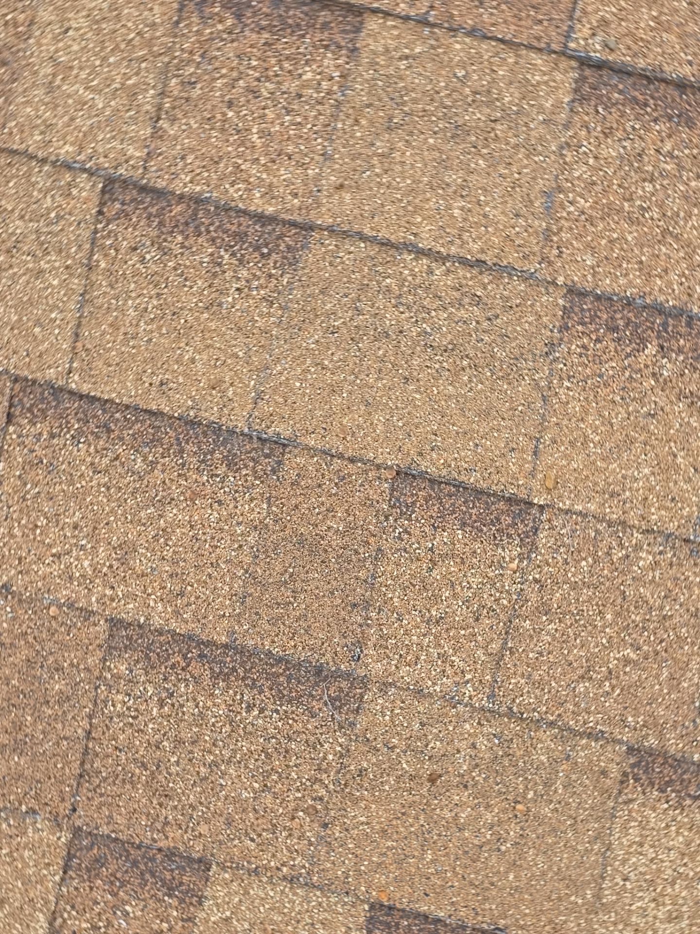 Roof Rejuvenation using Roof Maxx Treatment by Roof Maxx of Folsom