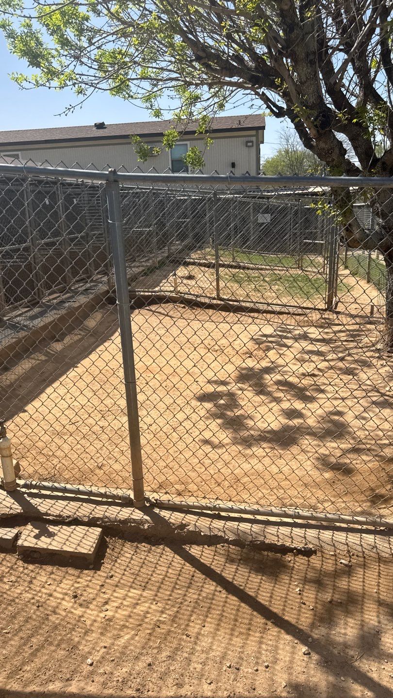 Synthetic Turf Installation using Pet Turf by Turf Concepts