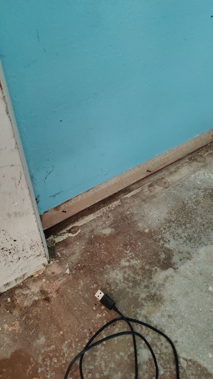 Mold Remediation by Accountable Home Services