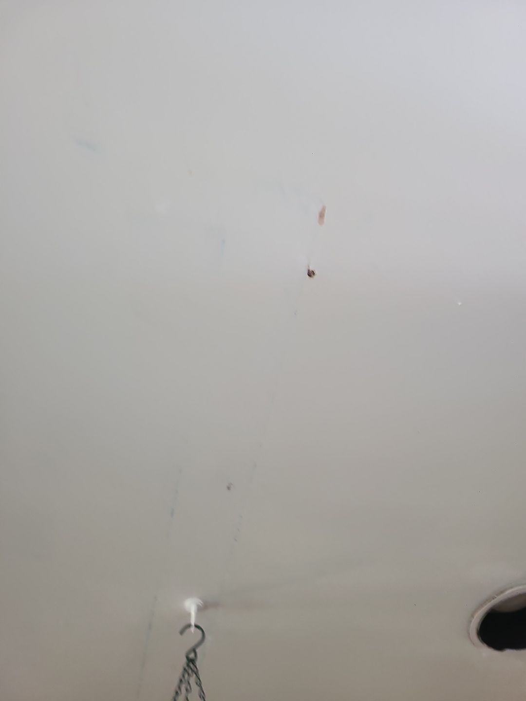 Woodbridge: Roof Replacement with CertainTeed Landmark Pro Designer Shingles in Max Def Colonial Slate by RM Banning, Inc.