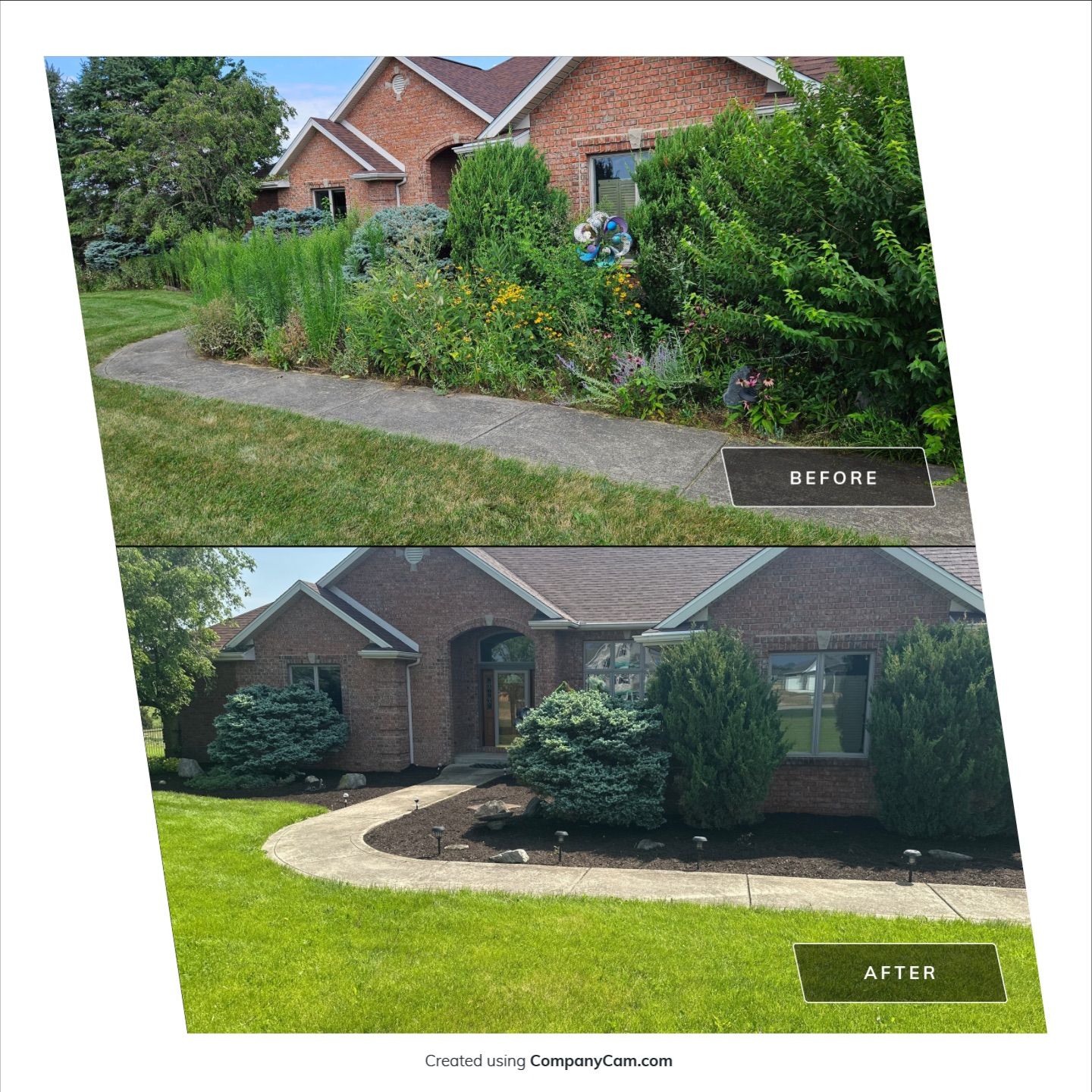 Overgrowth Takeover by Carrs lawn and landscape