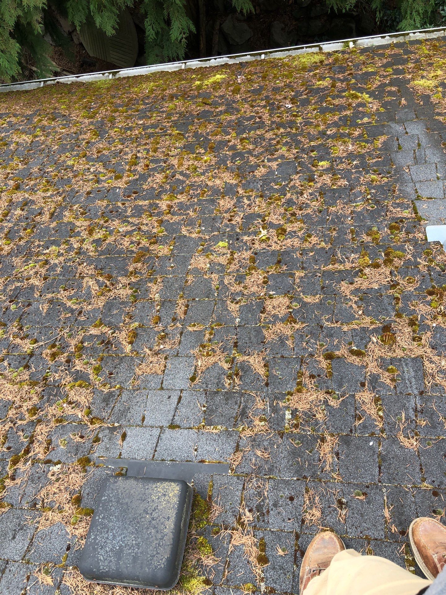 Project in Seattle by Connolly Construction Company