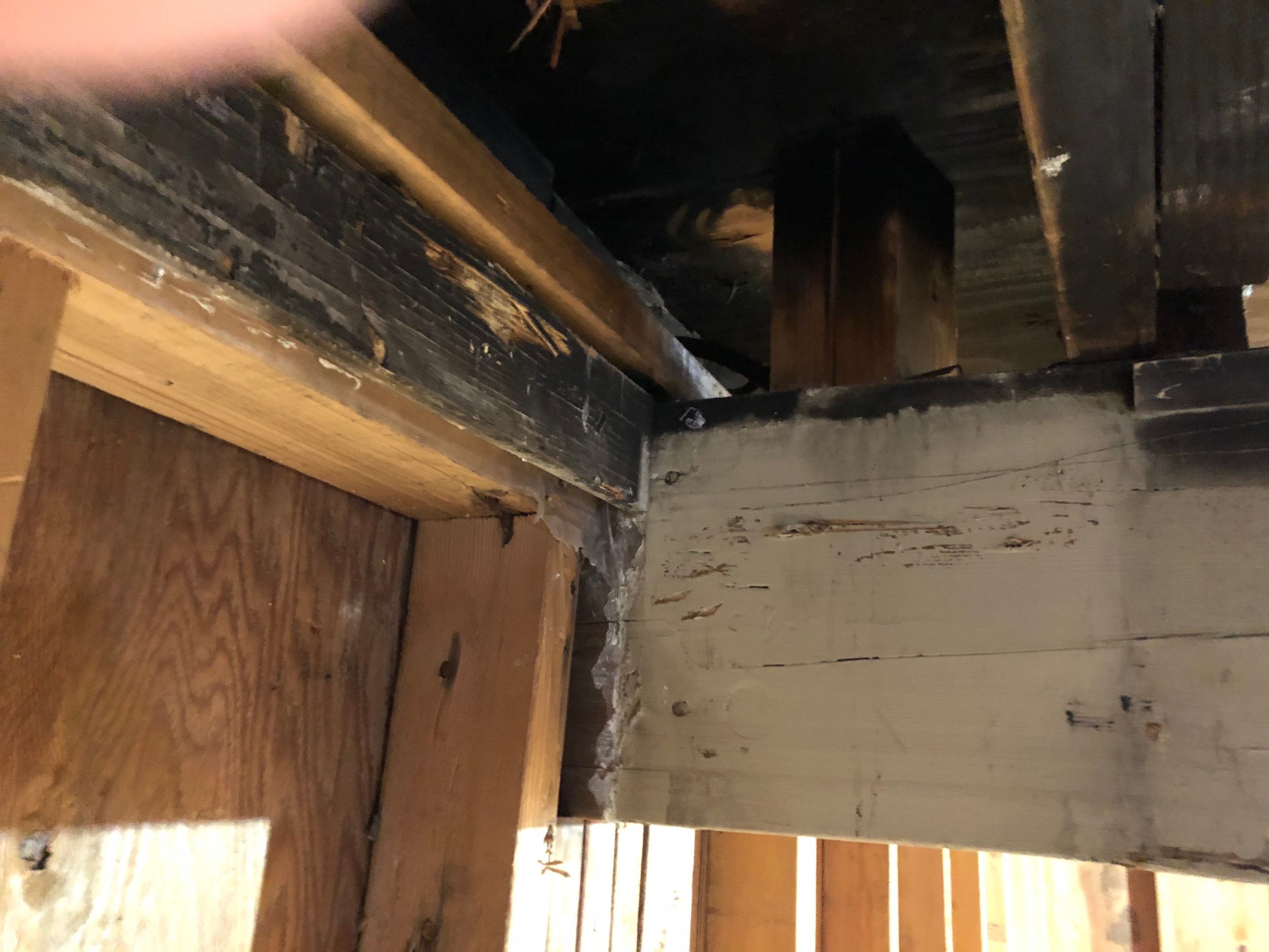 Siding Repair using Certainteed Mainstreet water intrusion by A Plus Exterior