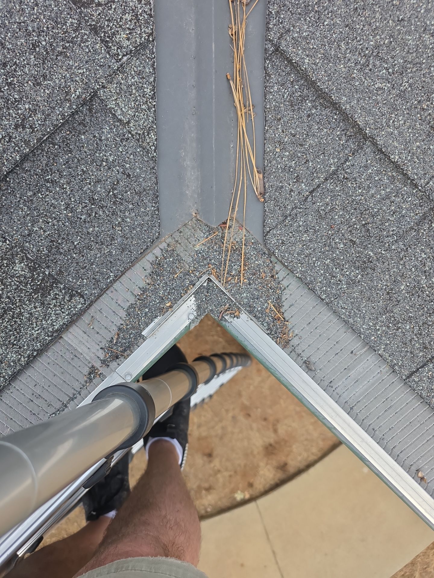 Roof Rejuvenation using Roof Maxx Treatment by Roof Maxx of Folsom