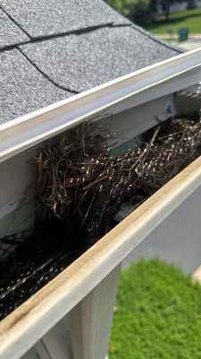 Turtle Shell gutter protection installation in Plainfield, IL 60585, photograph 2