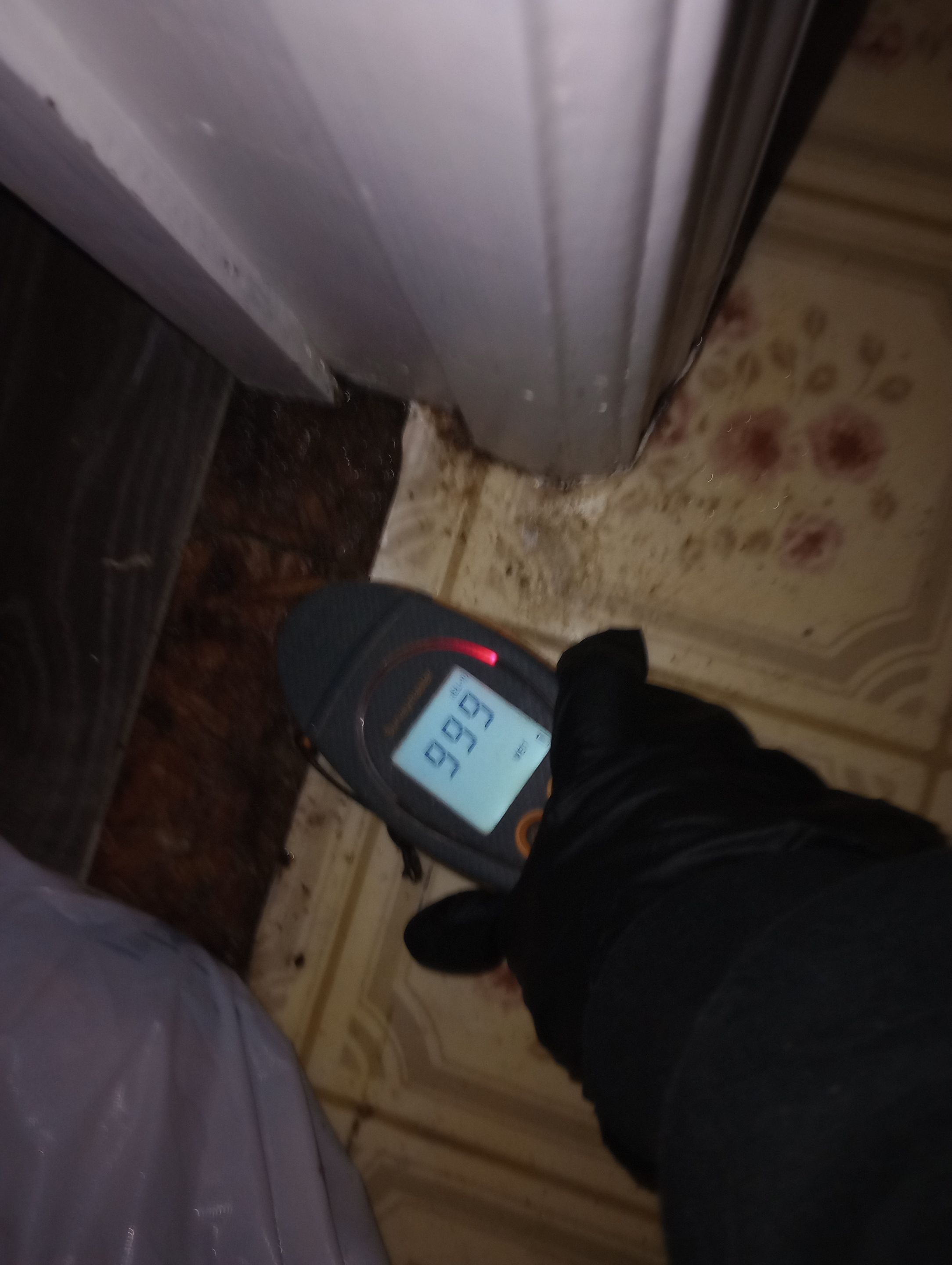 Emergency Service Sewage Backup in Louisville, KY Home by ANR Restoration