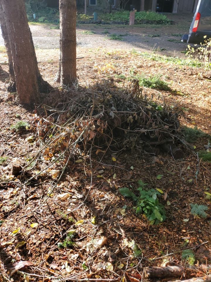 Tree Removal using Tree Removal by Mike Jones & Sons Tree Service LLC 