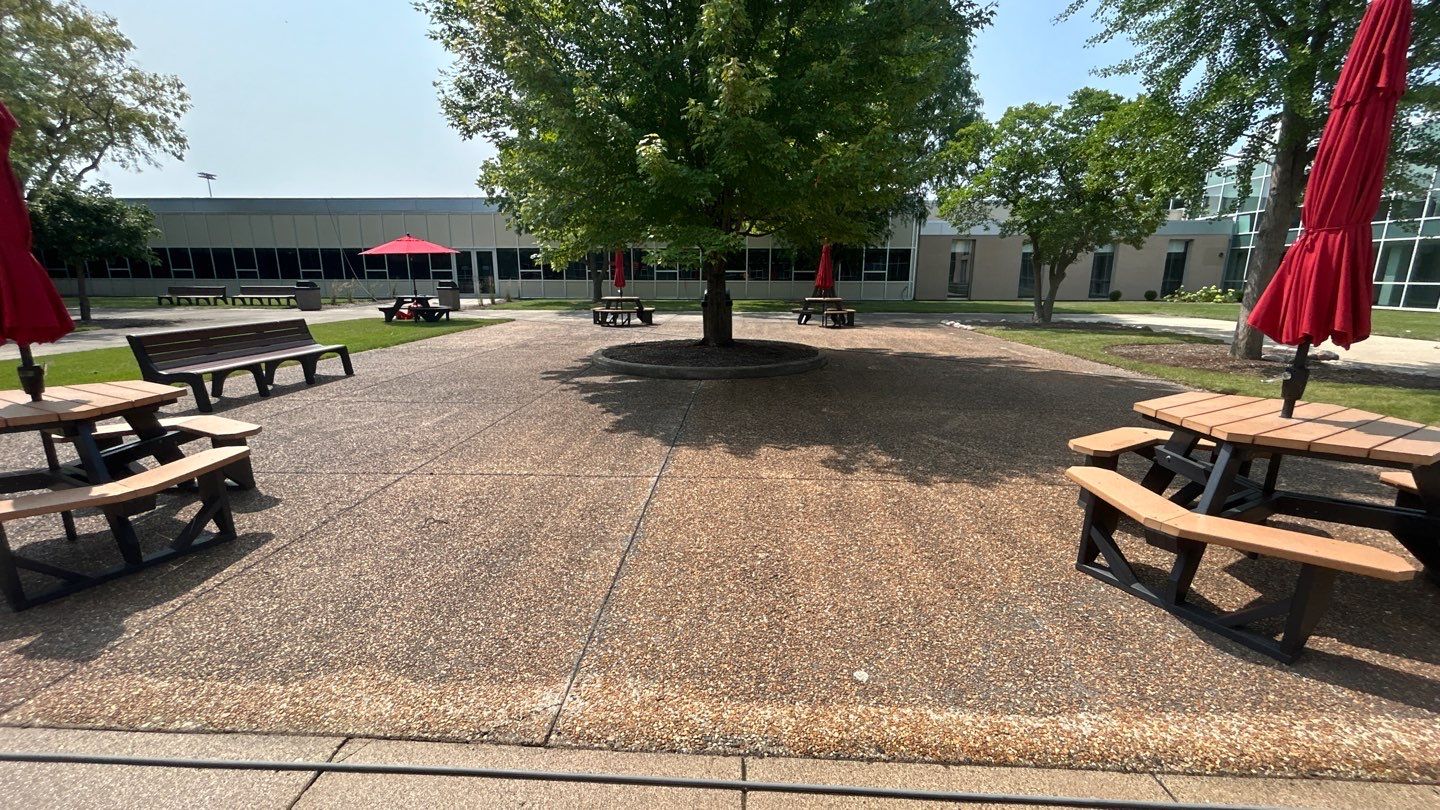 concrete using Algaecide, soft wash soap by Northern Power Washing LLC.