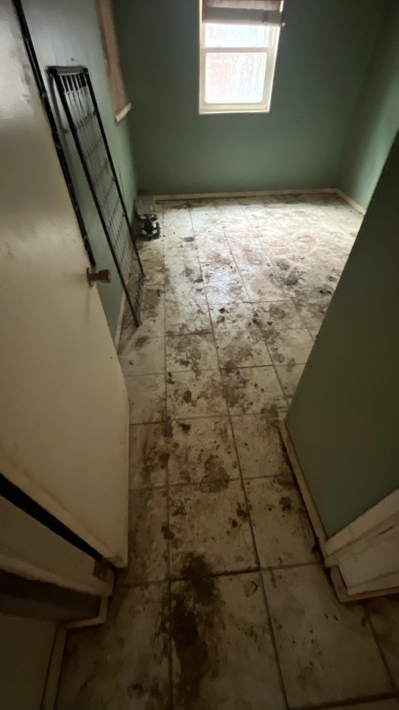 Residential Demo by EAS Environmental, LLC.